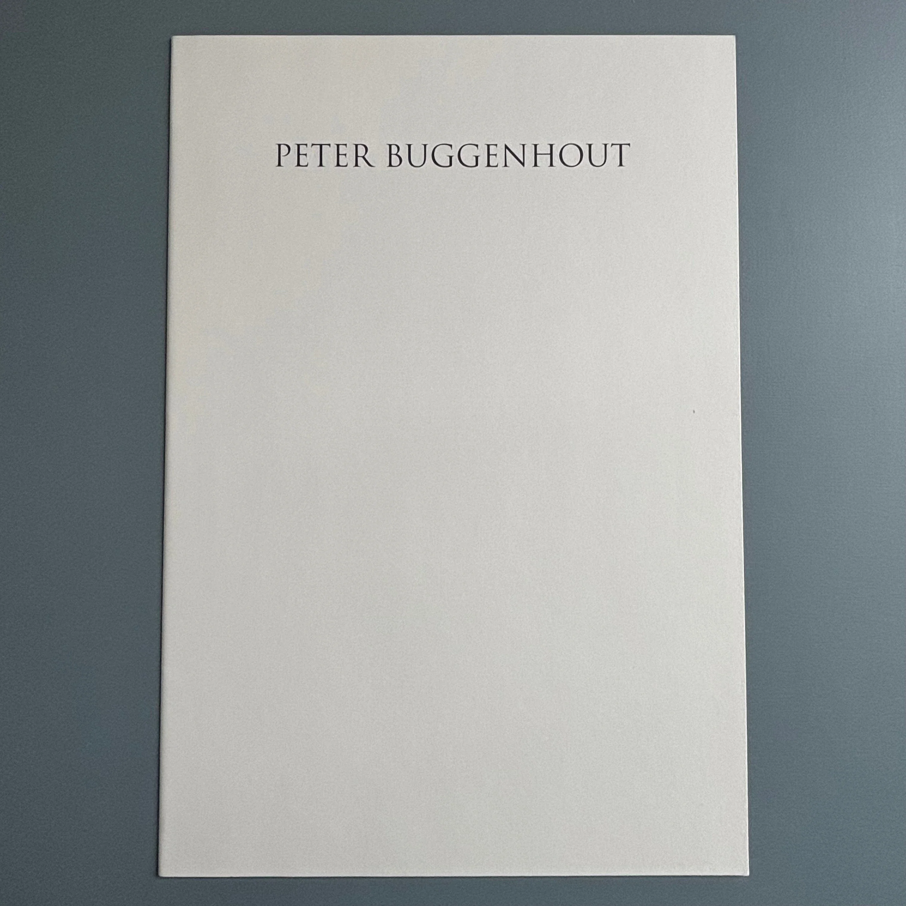 Berlinde De Bruyckere / Peter Buggenhout - Tweeluik '98 - Kapel op het Campo-Santo 1998 - Image 14