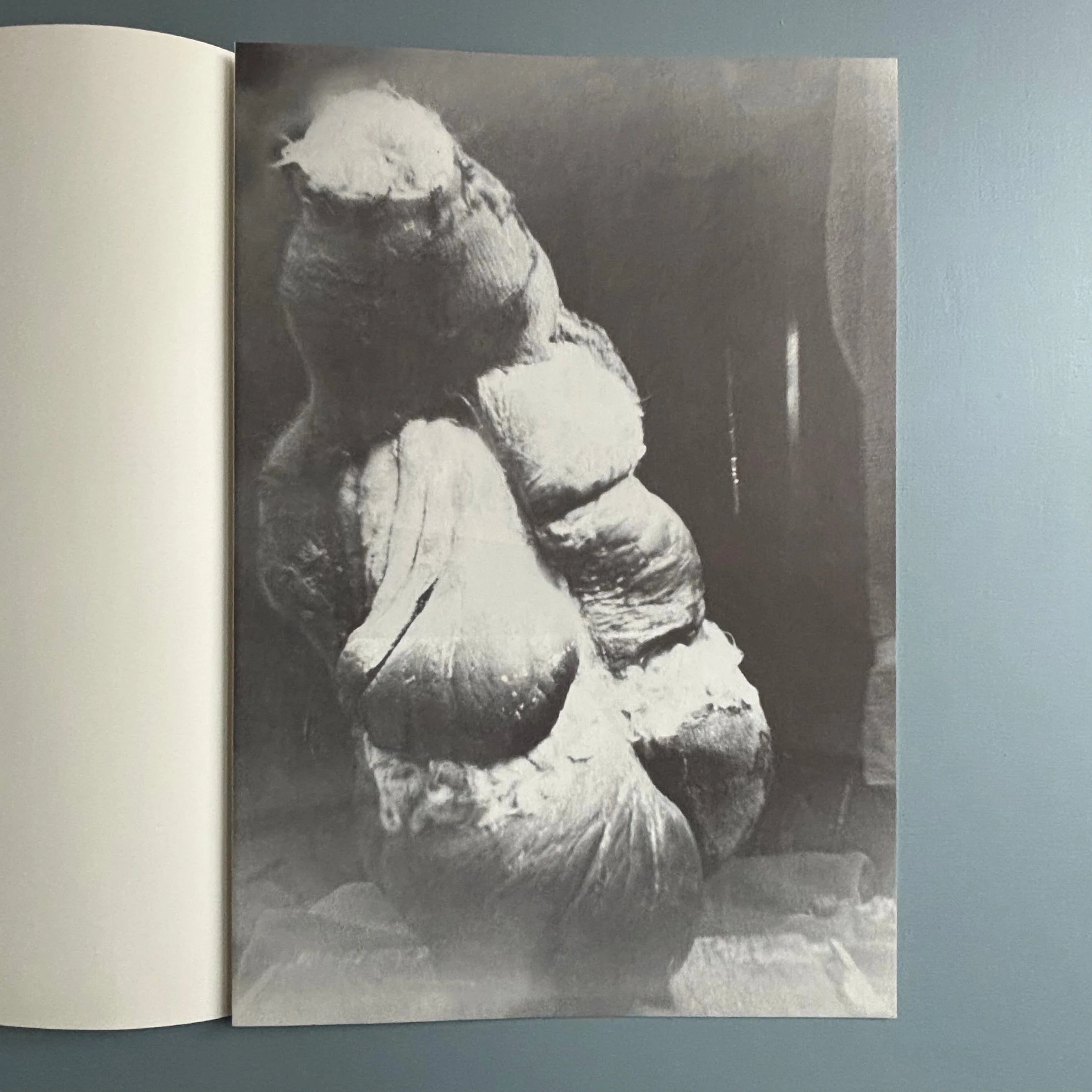 Berlinde De Bruyckere / Peter Buggenhout - Tweeluik '98 - Kapel op het Campo-Santo 1998 - Image 16