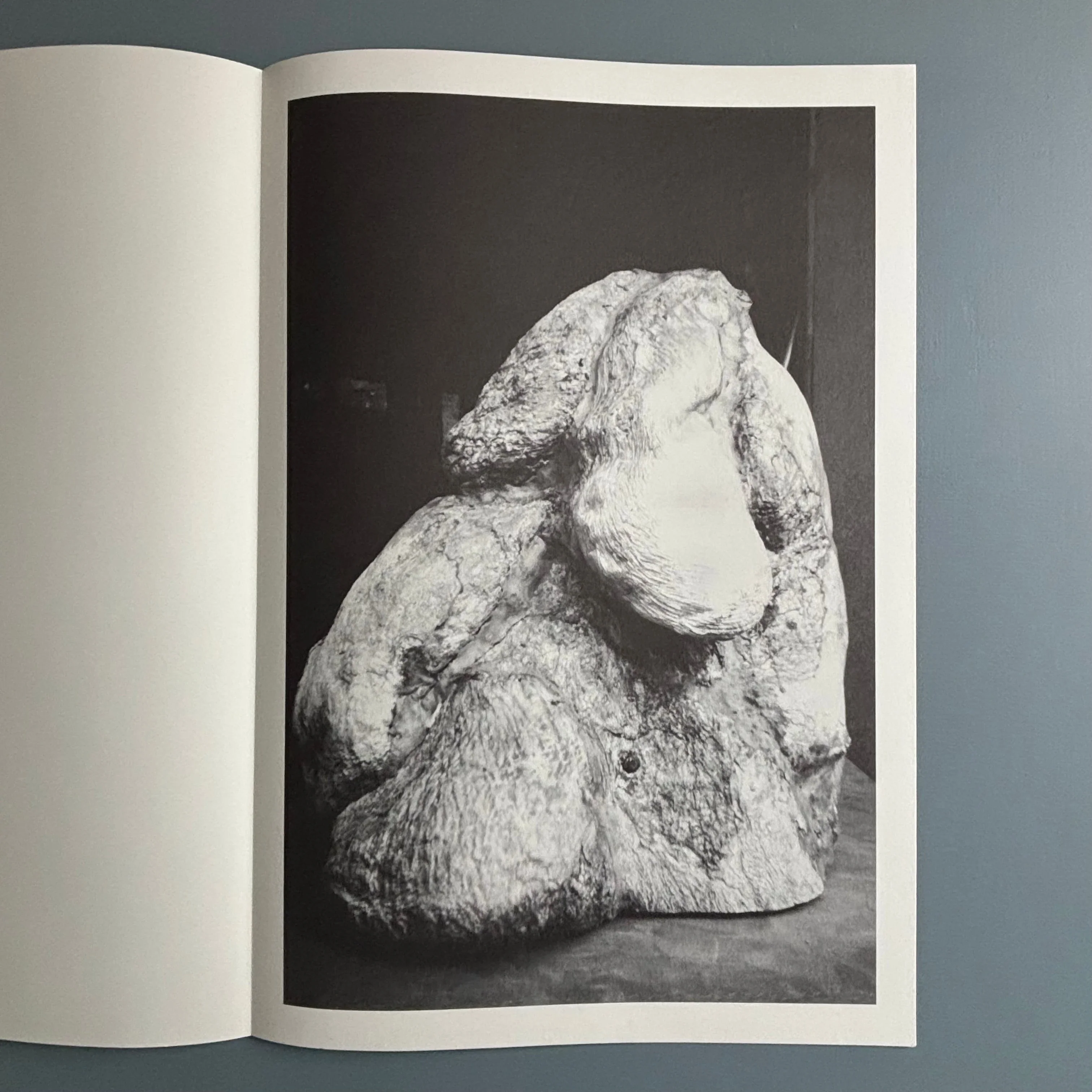 Berlinde De Bruyckere / Peter Buggenhout - Tweeluik '98 - Kapel op het Campo-Santo 1998 - Image 17