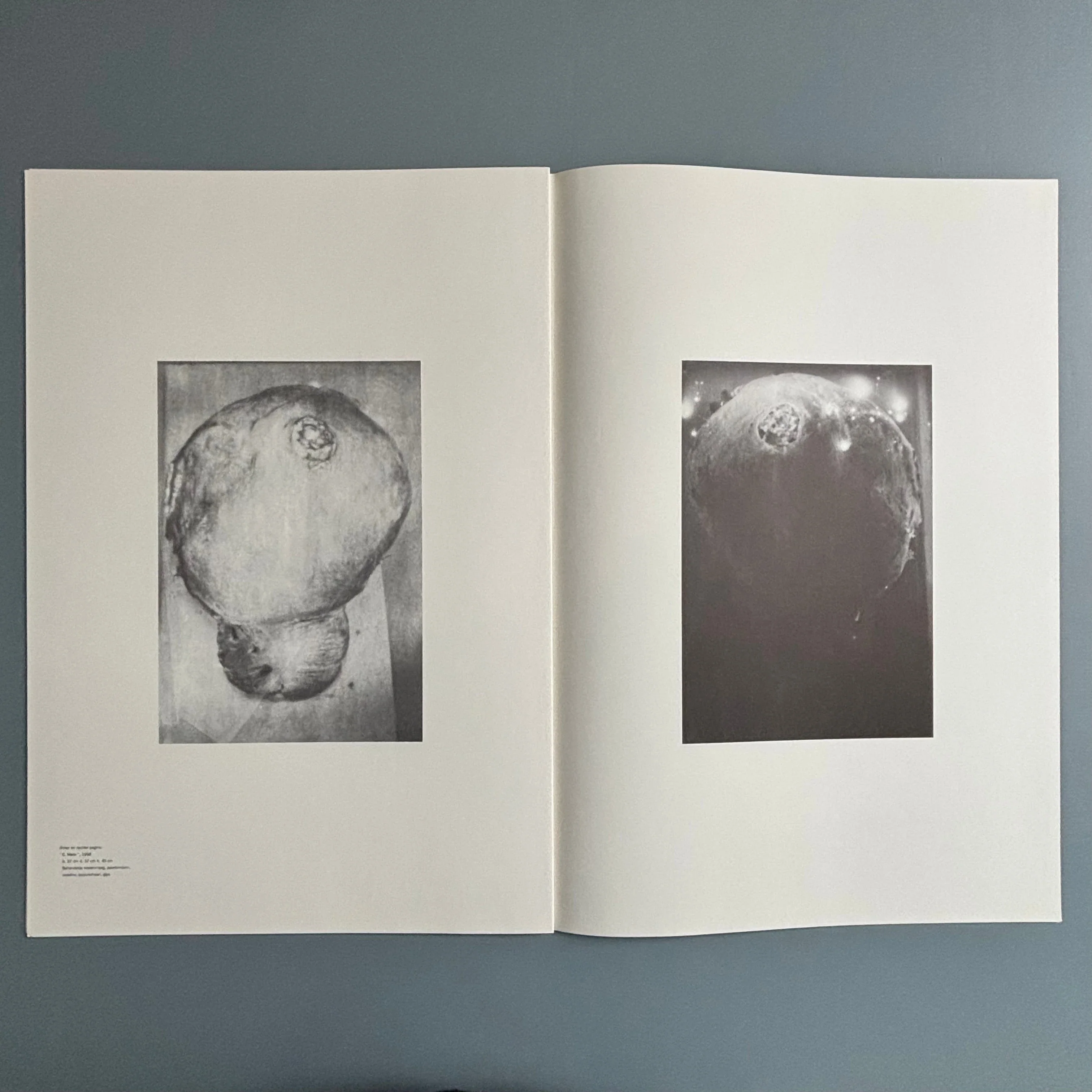 Berlinde De Bruyckere / Peter Buggenhout - Tweeluik '98 - Kapel op het Campo-Santo 1998 - Image 19