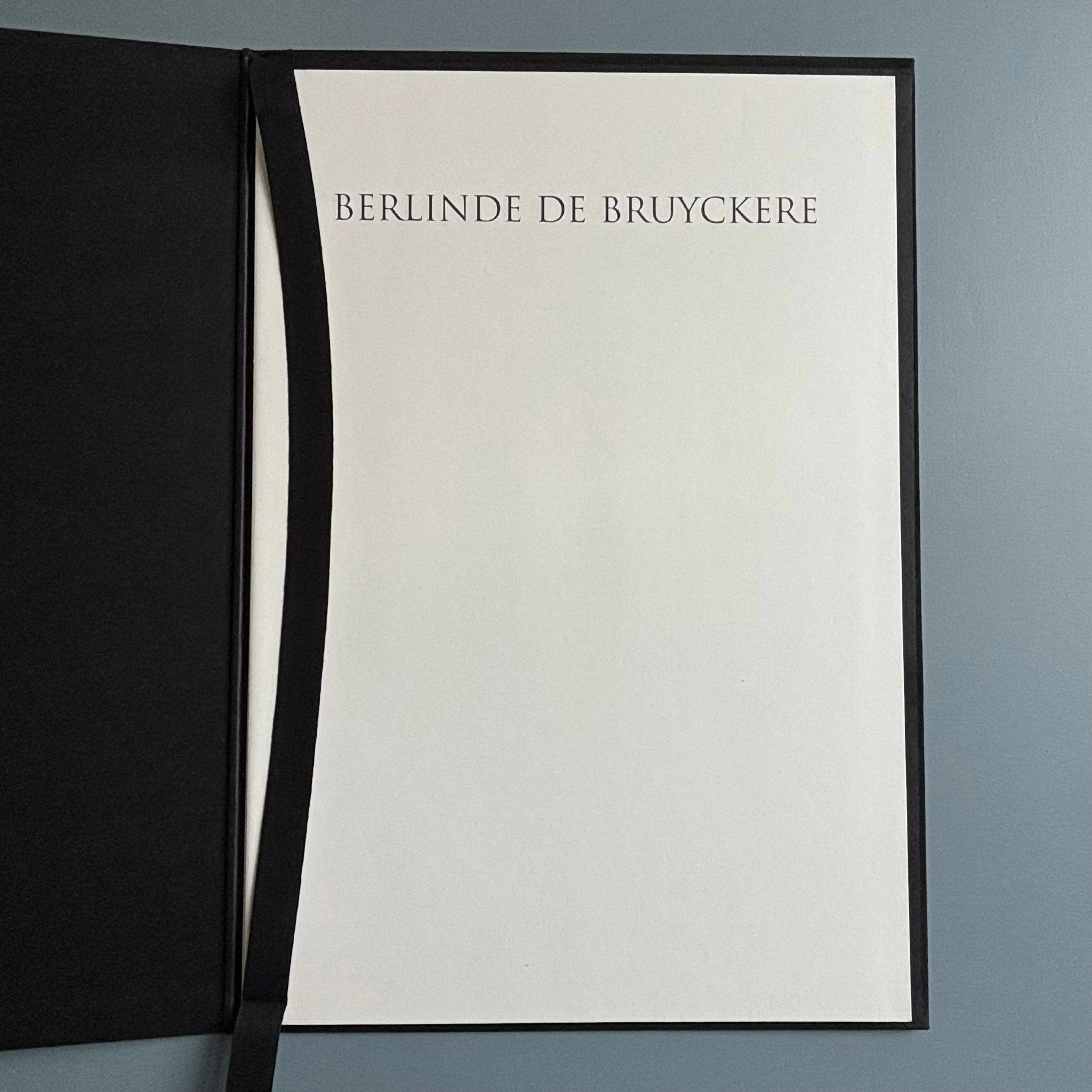 Berlinde De Bruyckere / Peter Buggenhout - Tweeluik '98 - Kapel op het Campo-Santo 1998 - Image 2