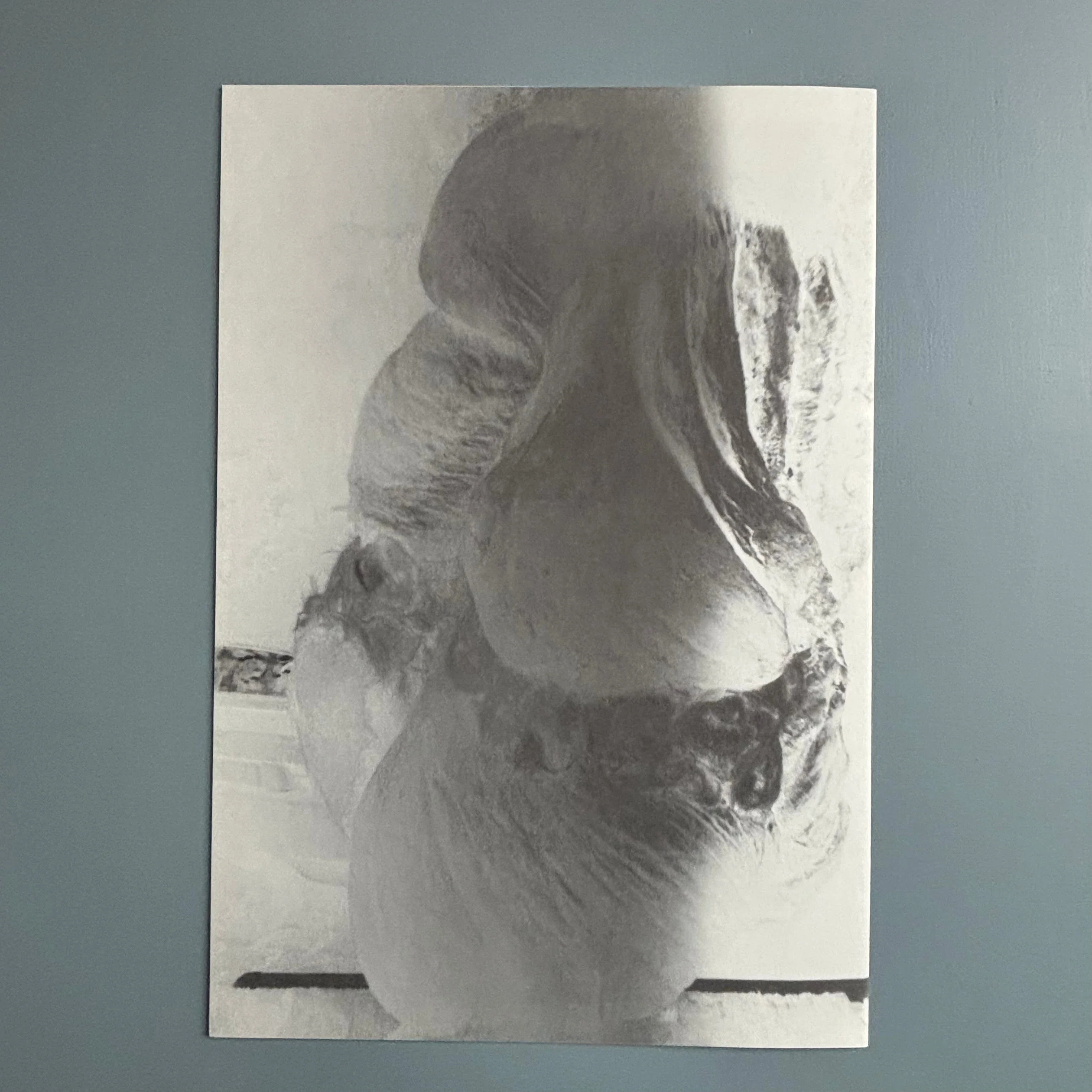 Berlinde De Bruyckere / Peter Buggenhout - Tweeluik '98 - Kapel op het Campo-Santo 1998 - Image 21