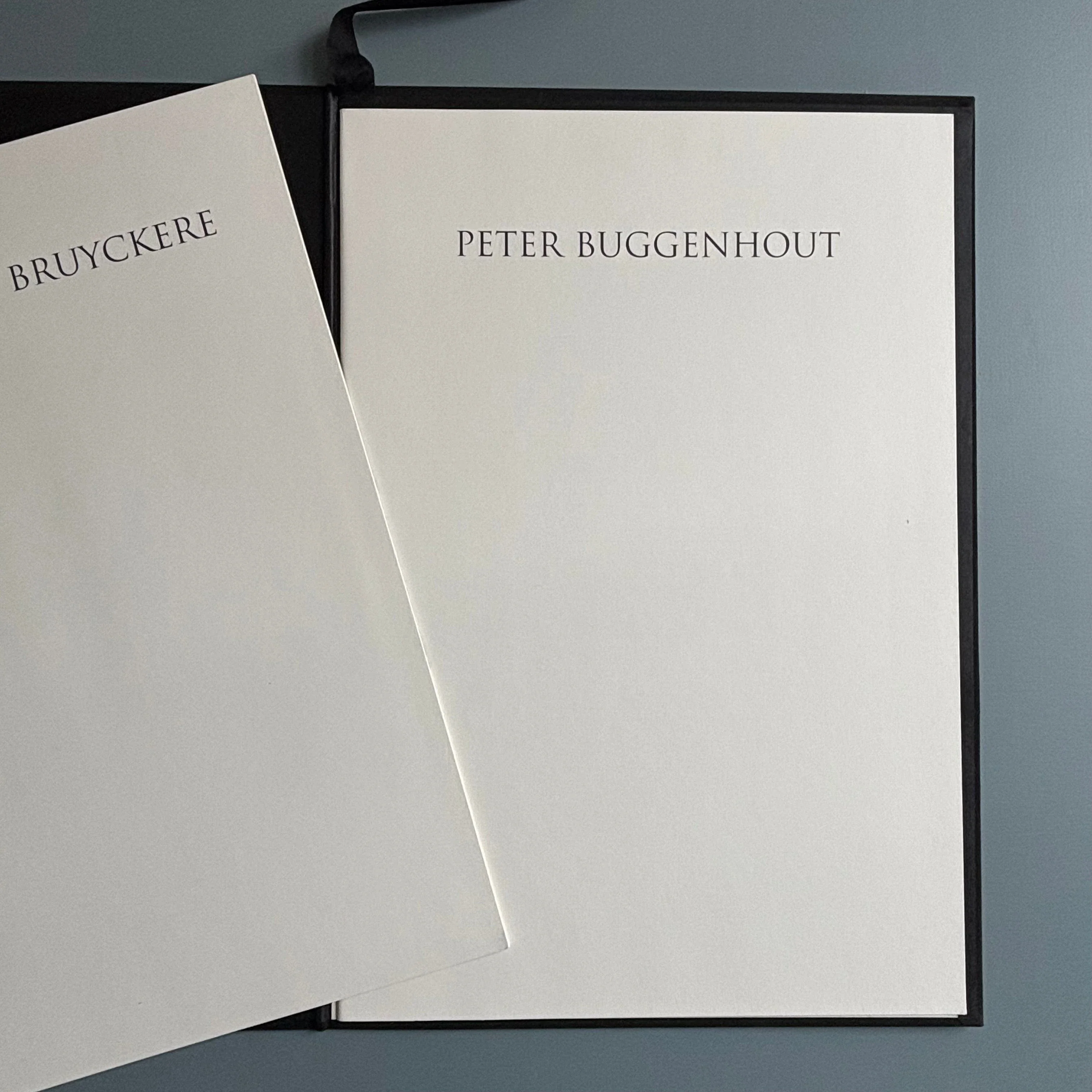 Berlinde De Bruyckere / Peter Buggenhout - Tweeluik '98 - Kapel op het Campo-Santo 1998 - Image 3