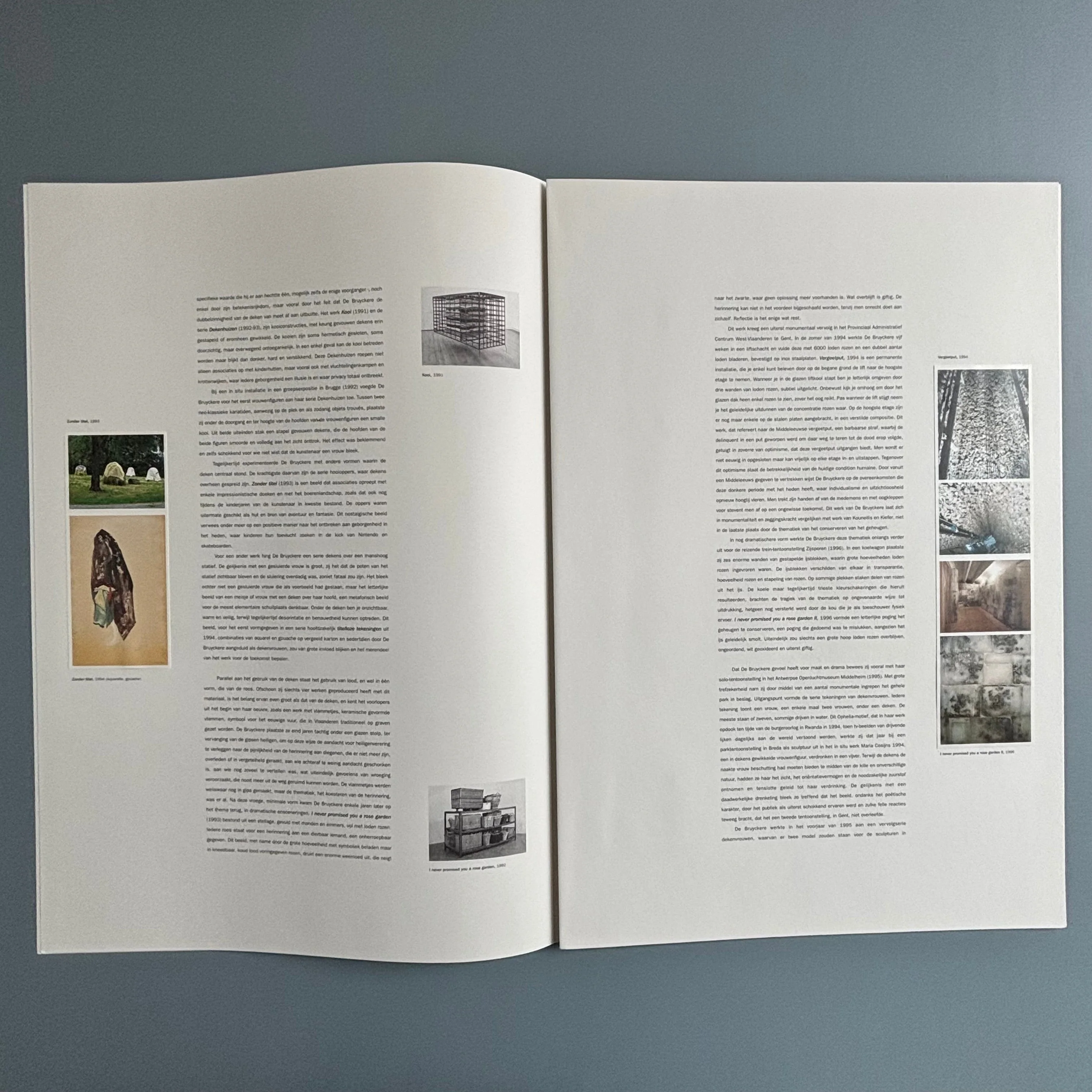 Berlinde De Bruyckere / Peter Buggenhout - Tweeluik '98 - Kapel op het Campo-Santo 1998 - Image 7