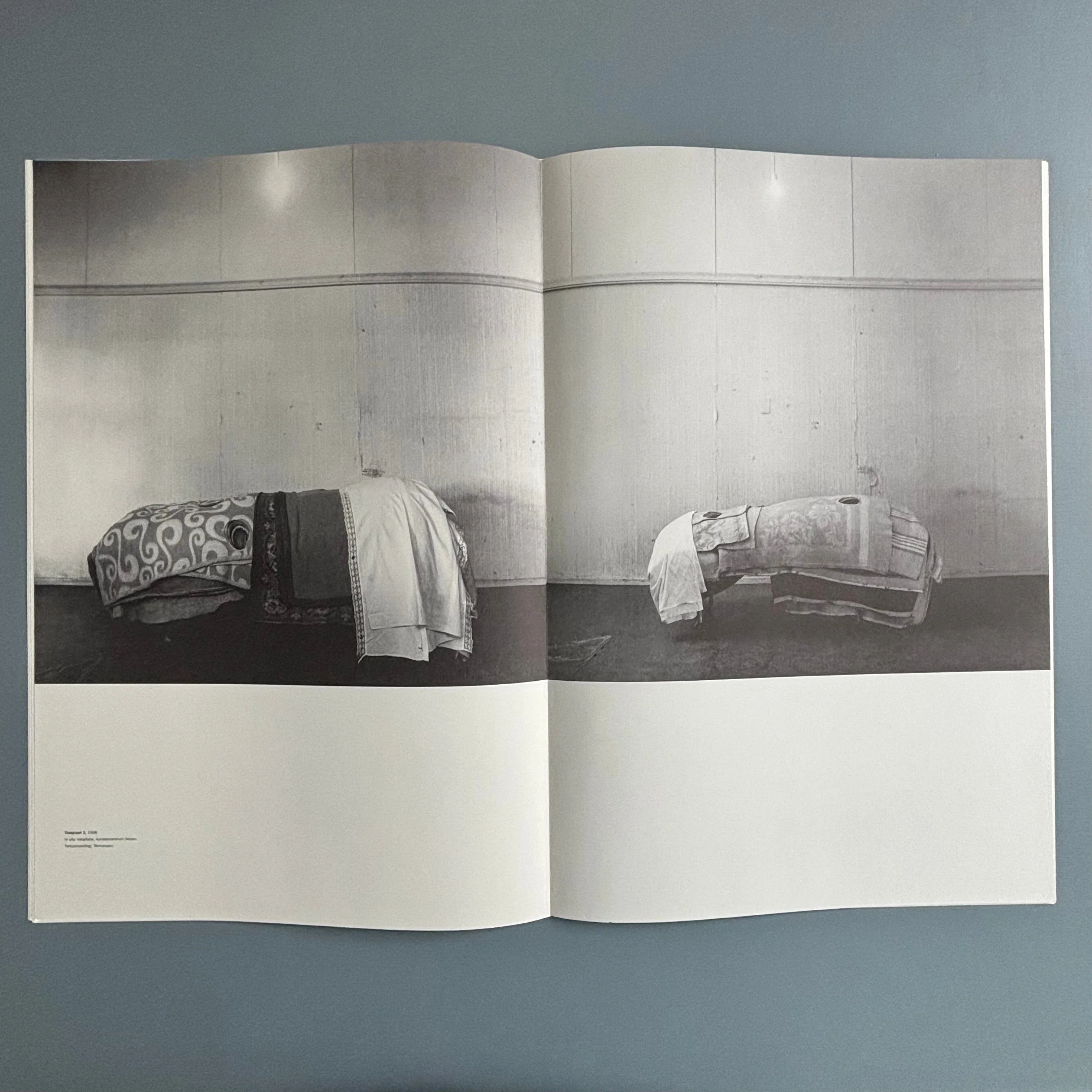 Berlinde De Bruyckere / Peter Buggenhout - Tweeluik '98 - Kapel op het Campo-Santo 1998 - Image 8
