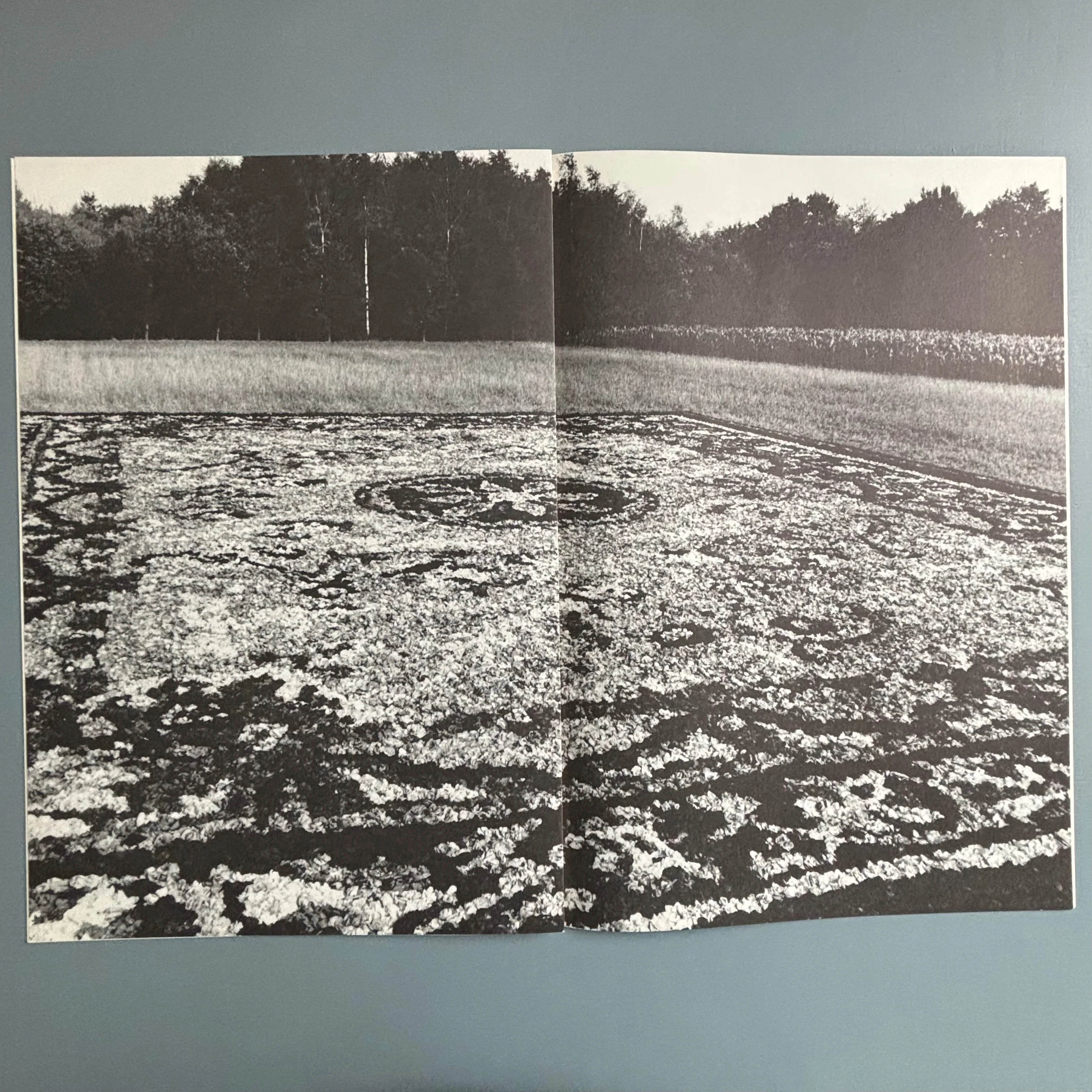 Berlinde De Bruyckere / Peter Buggenhout - Tweeluik '98 - Kapel op het Campo-Santo 1998 - Image 9