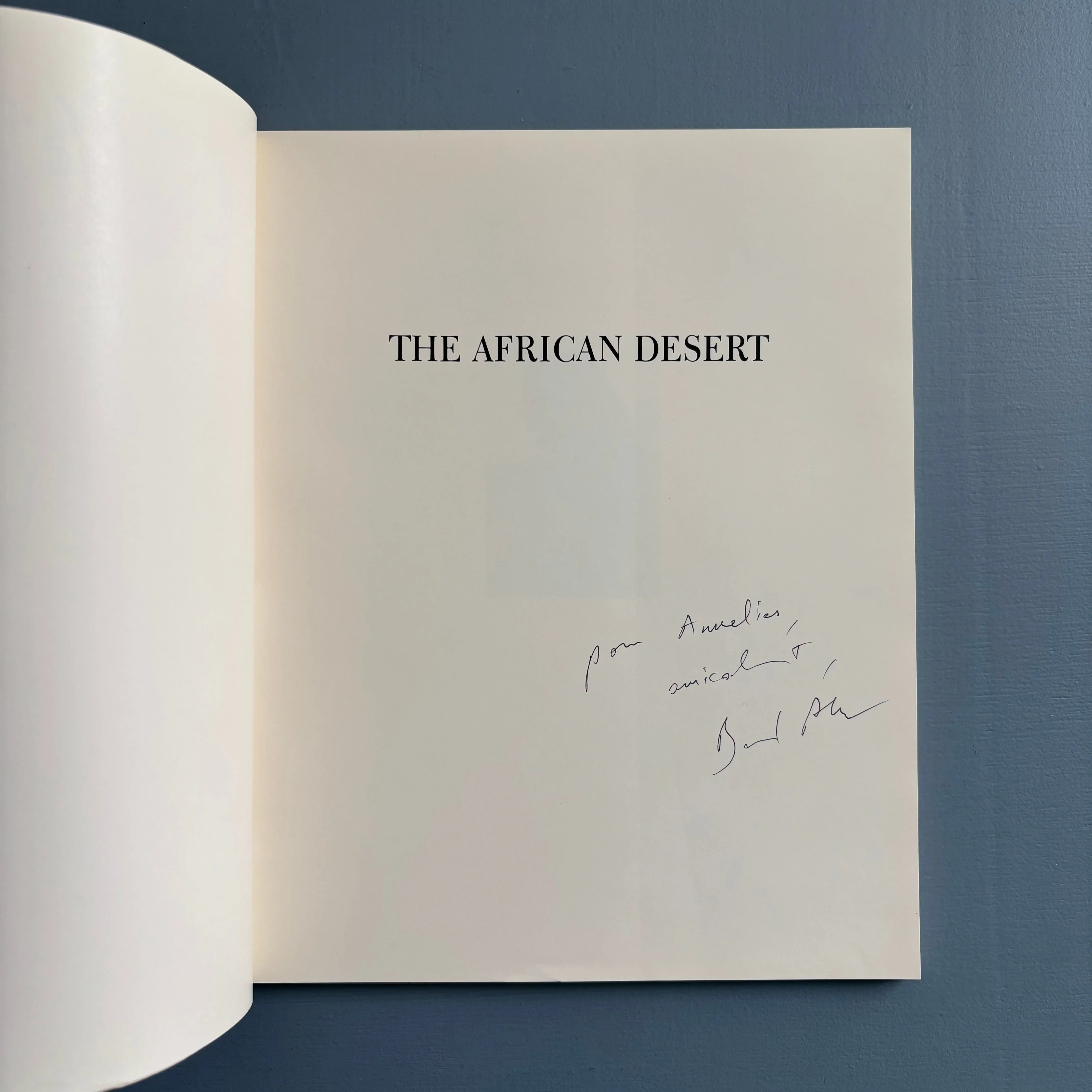 Bernard Plossu - The African Desert - The University of Arizona Press 1987 - Image 9