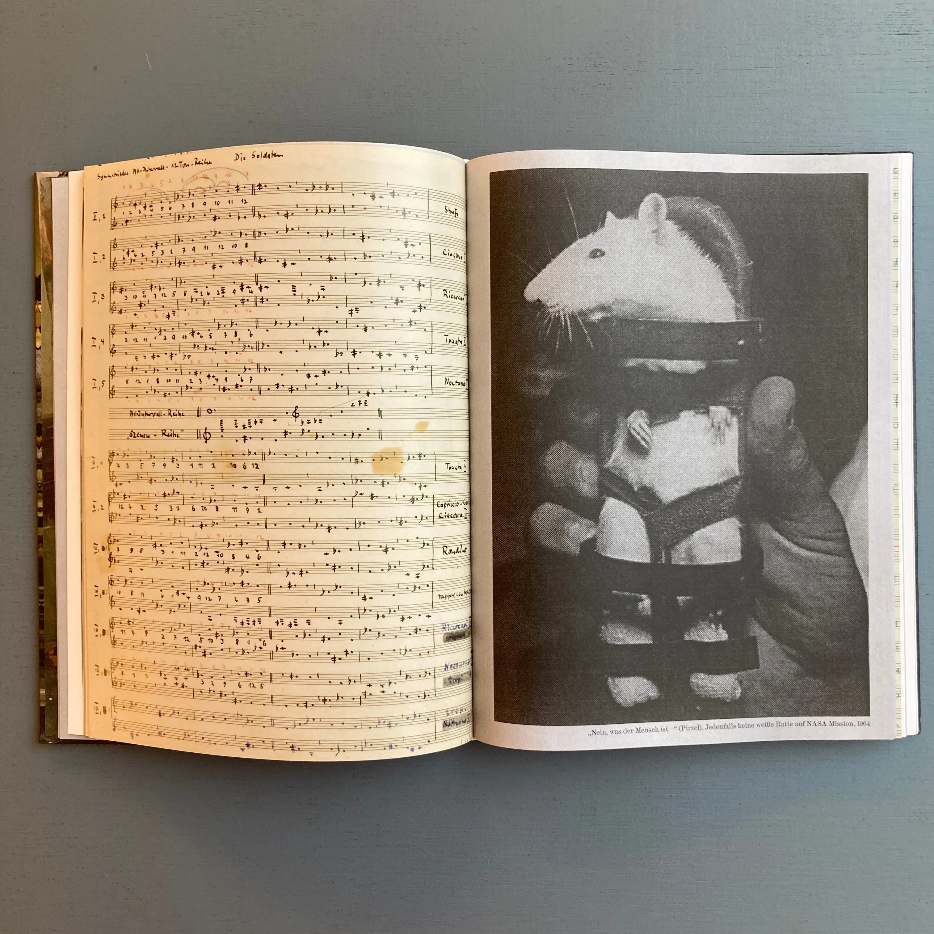 Bernd Alois Zimmermann - Die Soldaten (Bayerische Staatsoper) - Roland Berger 2013-2014 - Image 6