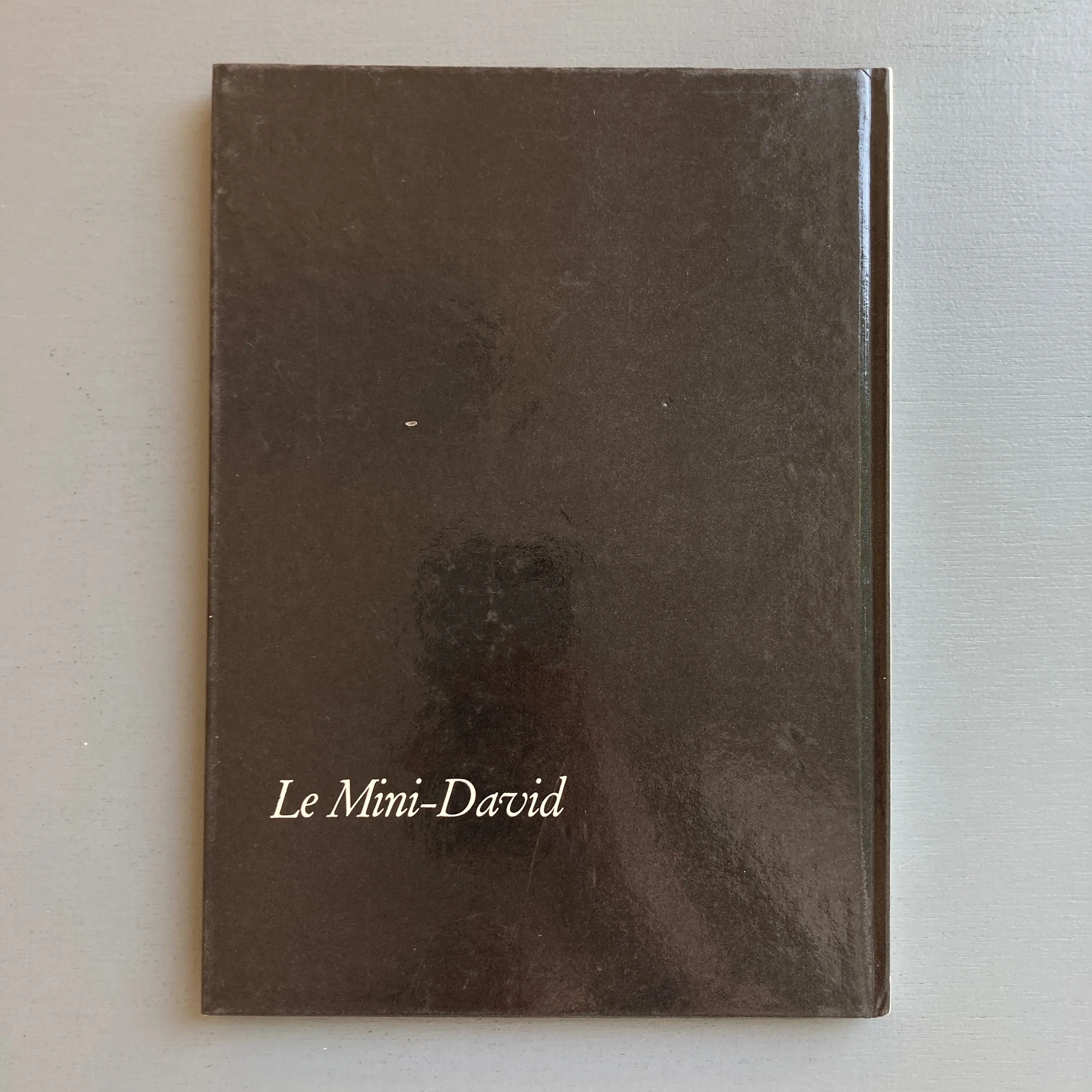 Berrocal - Le Mini-David I - Multicetera 1970 - Image 13