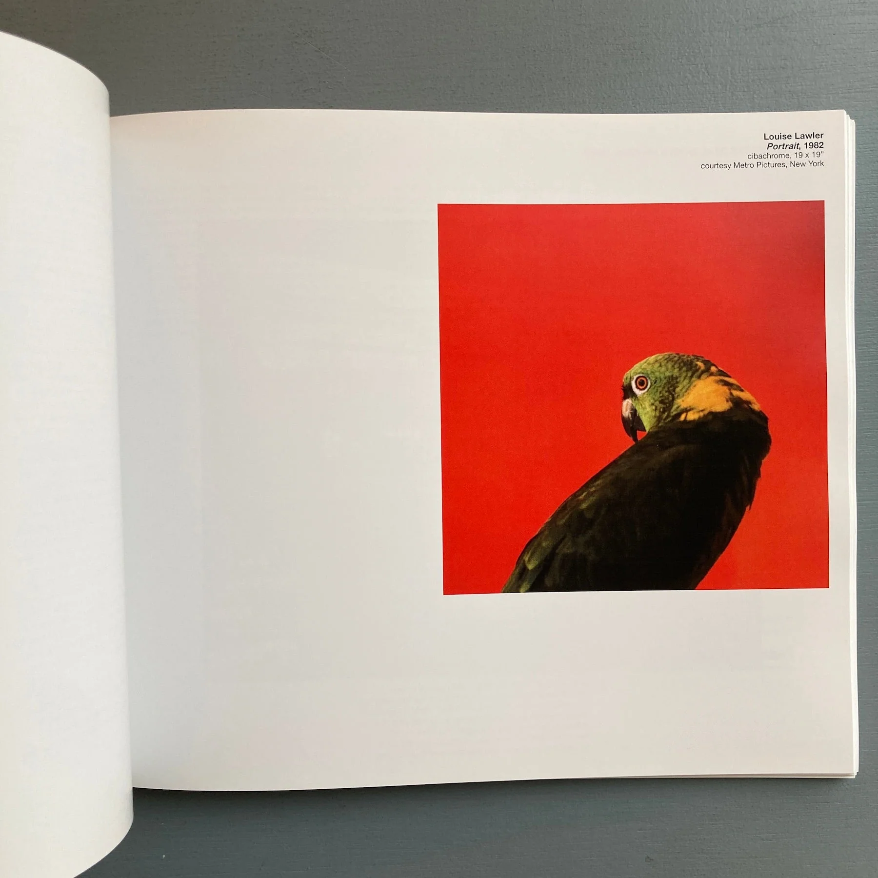 Bob Nickas - Catalog of publication 1984-2011 - 2nd Cannons Publications 2011 - Image 2