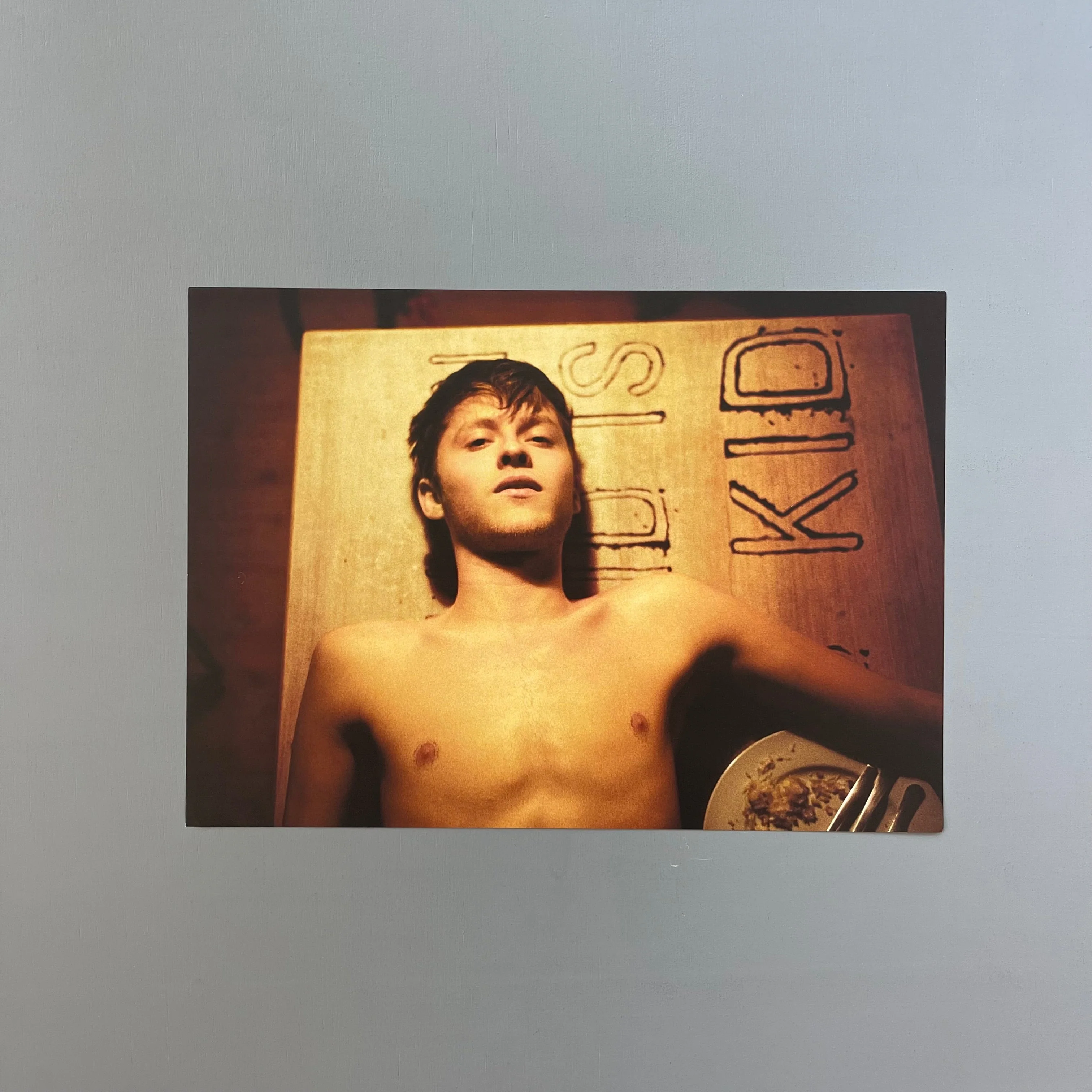 Brett Lloyd - The Quieter Poster Boys - Self-published 2010 - Image 3