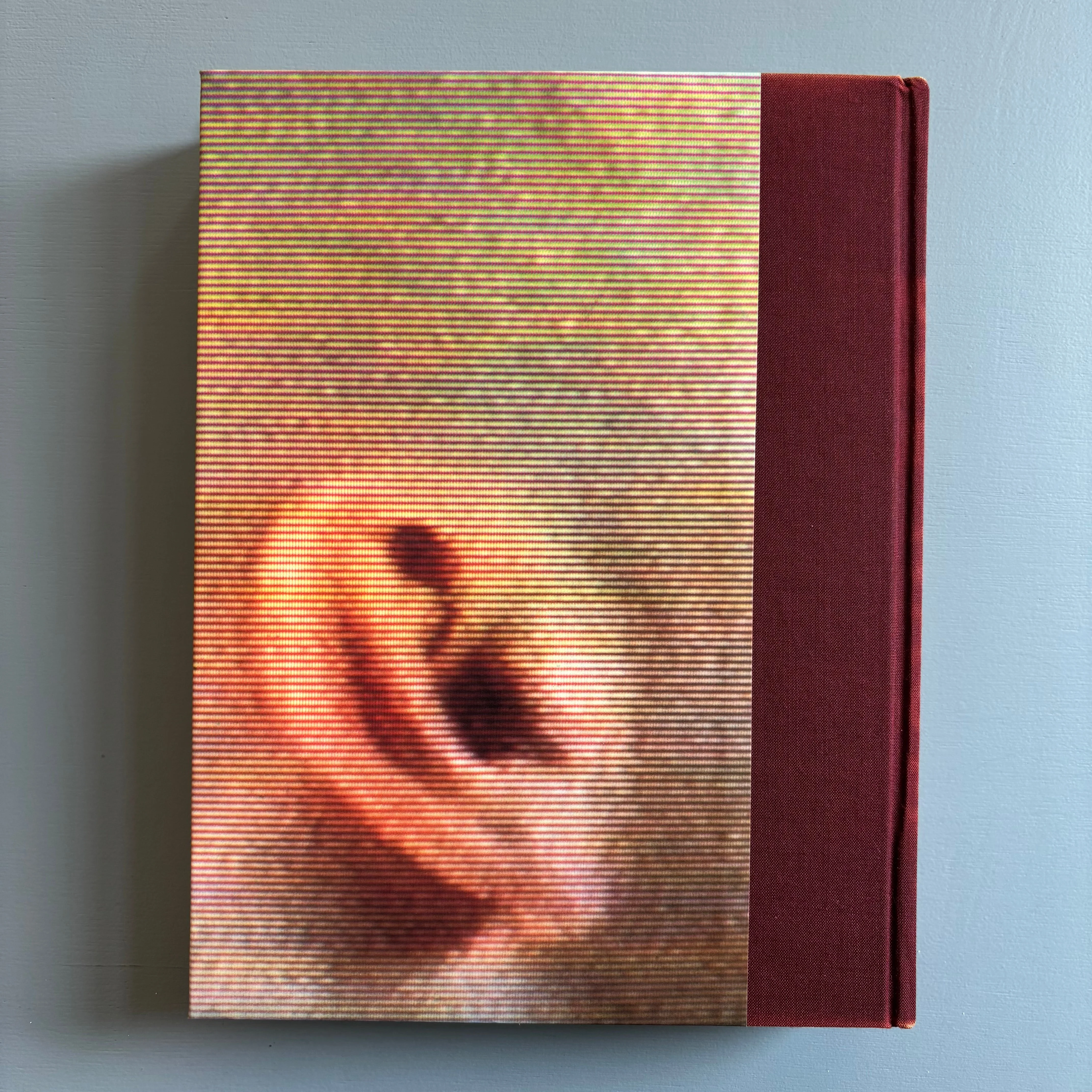 Bruce Nauman - Walker Art Center 1994 - Image 16