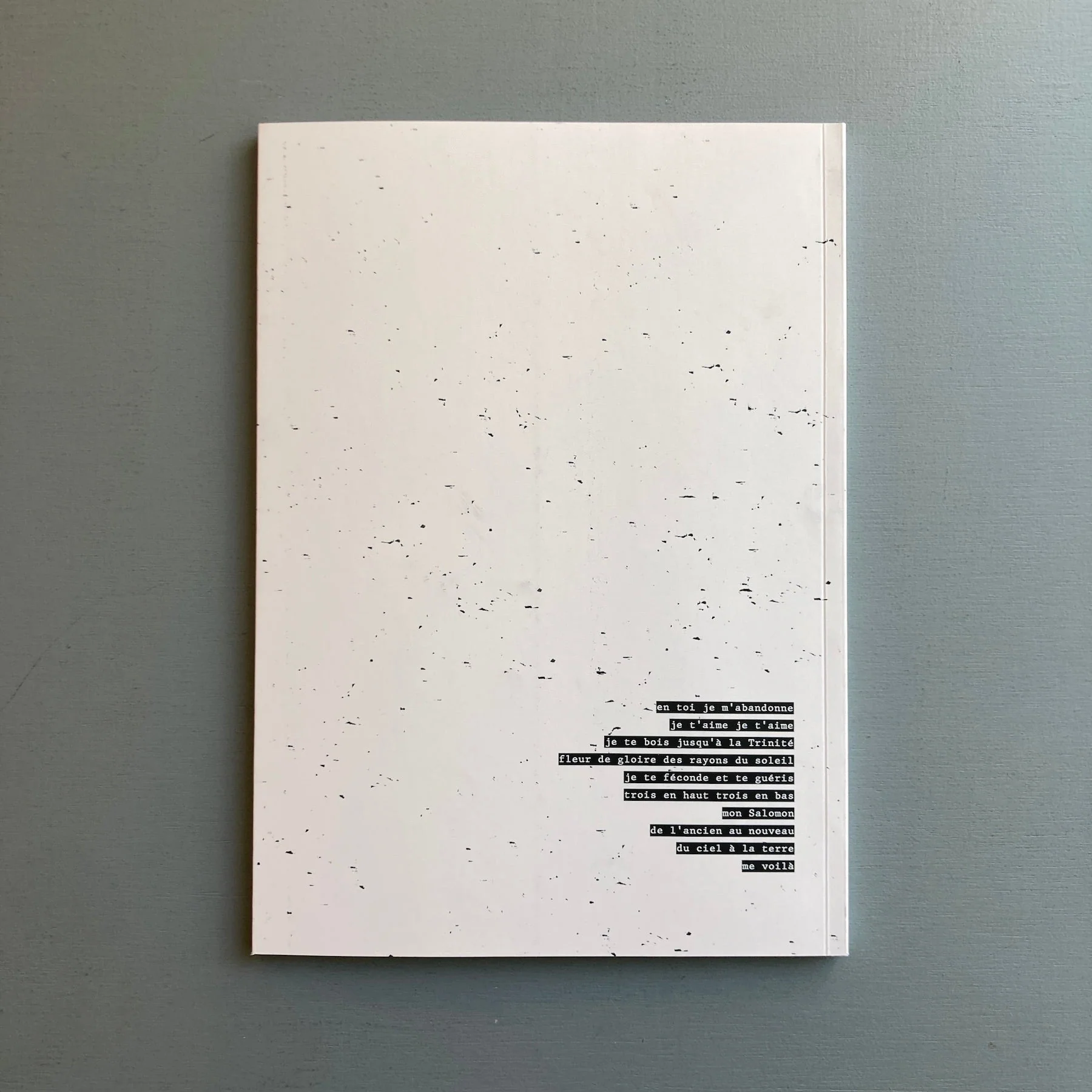 Bruno Hellenbosch - A mon seul désir (édition de tête with print) - Self-published 2023 - Image 8