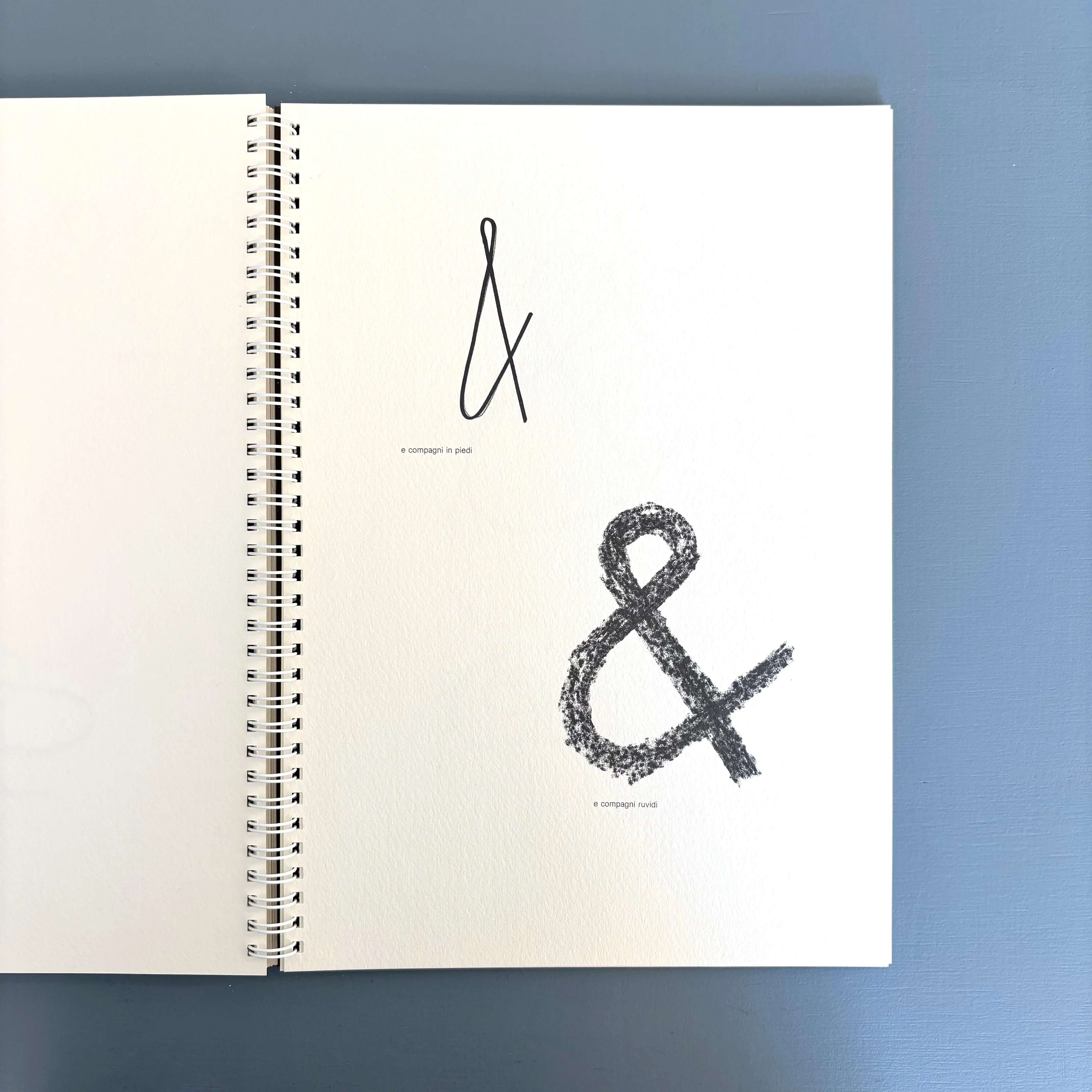 Bruno Munari - Alfabeto Lucini - Lucini Libri 1986 - Image 9