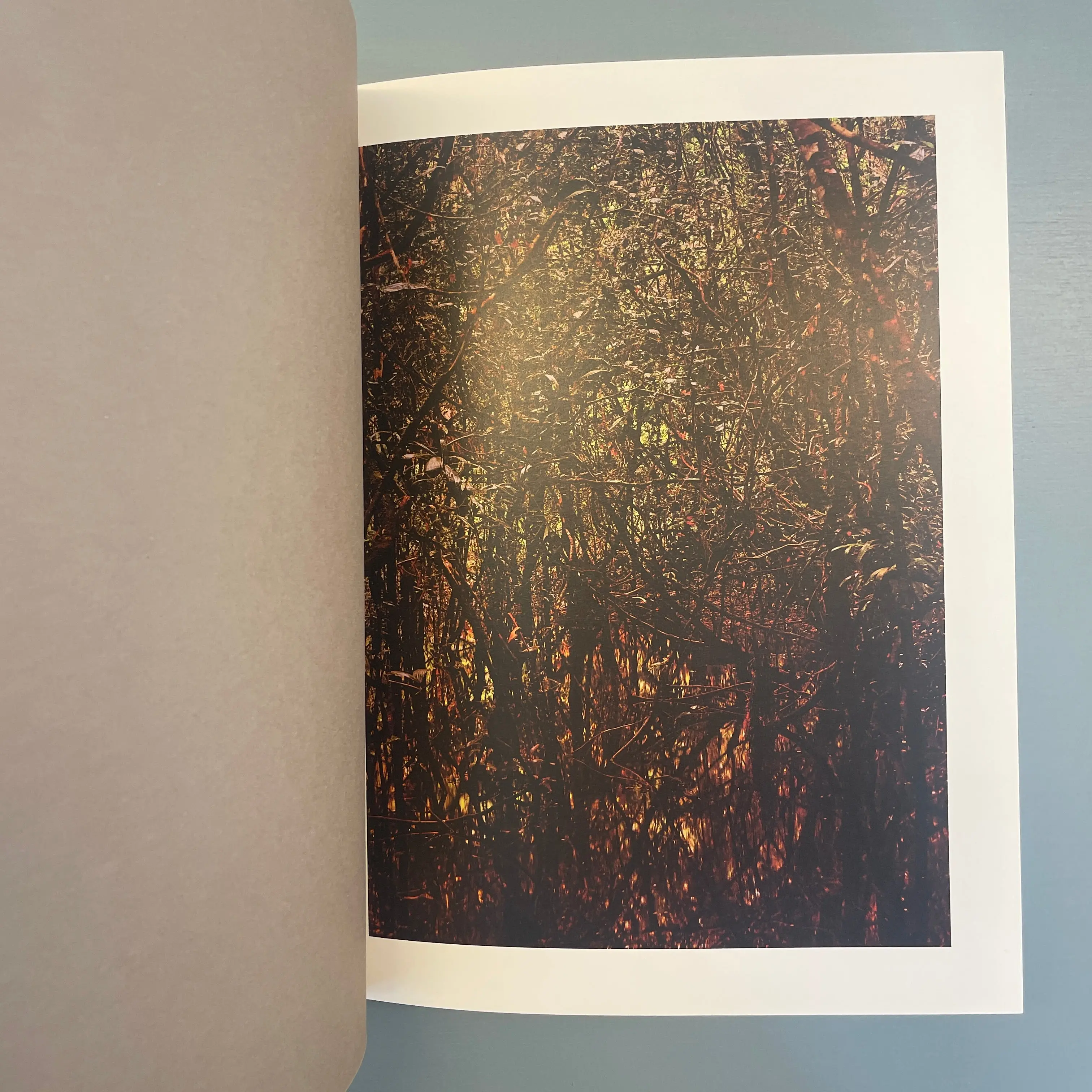 Caio Resewitz - Altamira - Artphilien Editions 2020 - Image 3