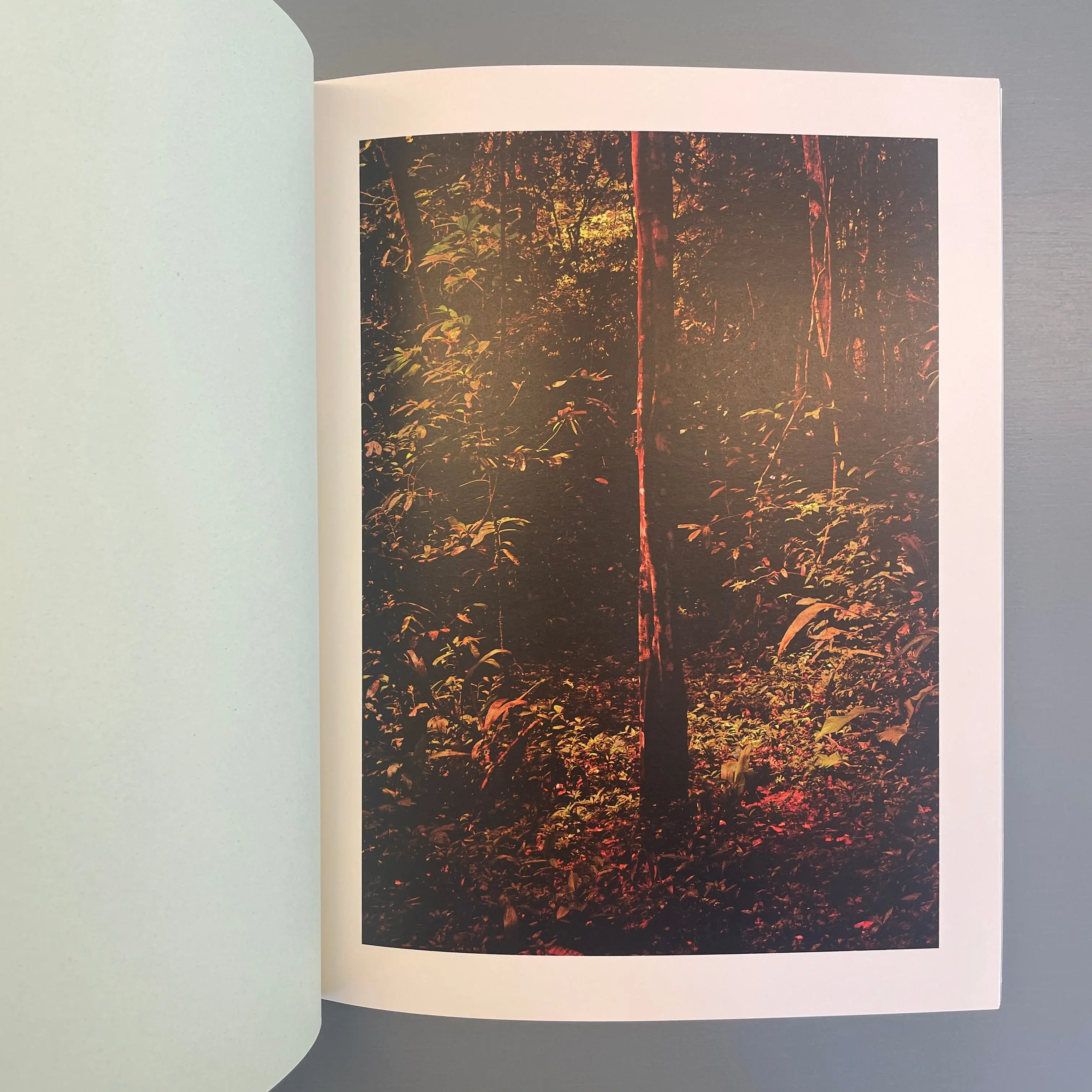 Caio Resewitz - Altamira - Artphilien Editions 2020 - Image 4