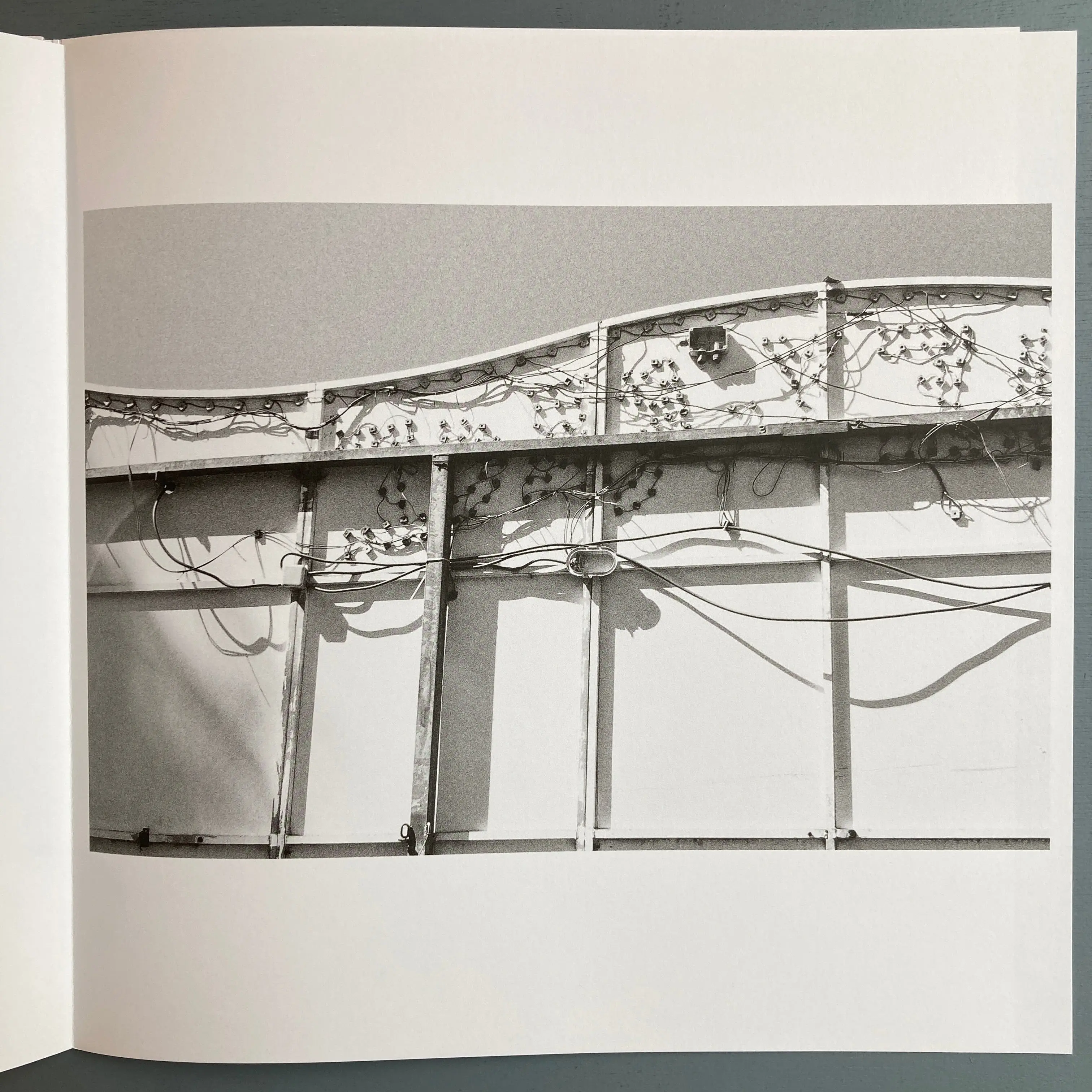 Carole Melchior - Eleutheromania - Gevaert Editions 2021 - Image 3