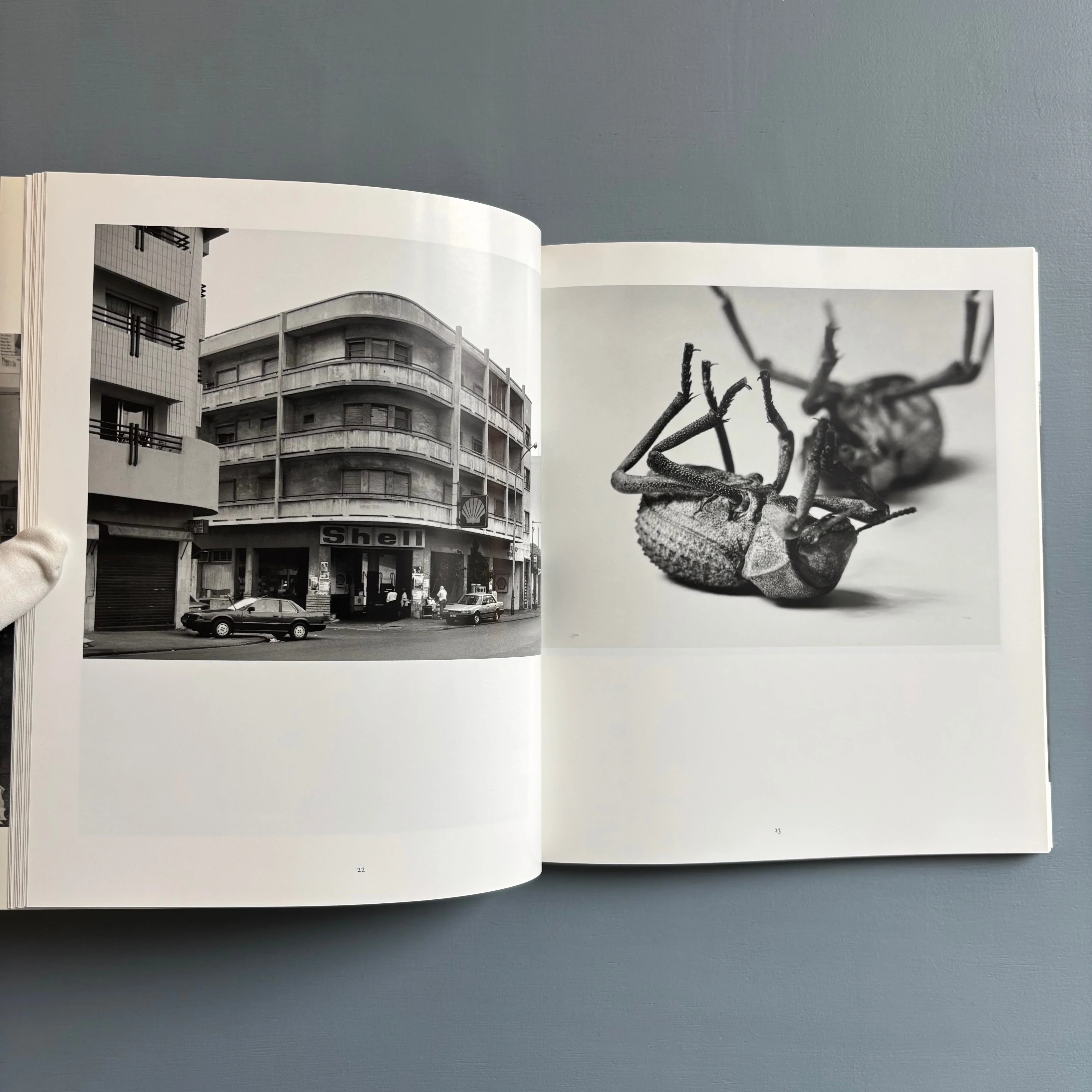 Christopher Williams - For Example: Die Welt ist schön (Final Draft) - Boijmans Van Beuningen/Kunsthalle Basel 1997 - Image 3
