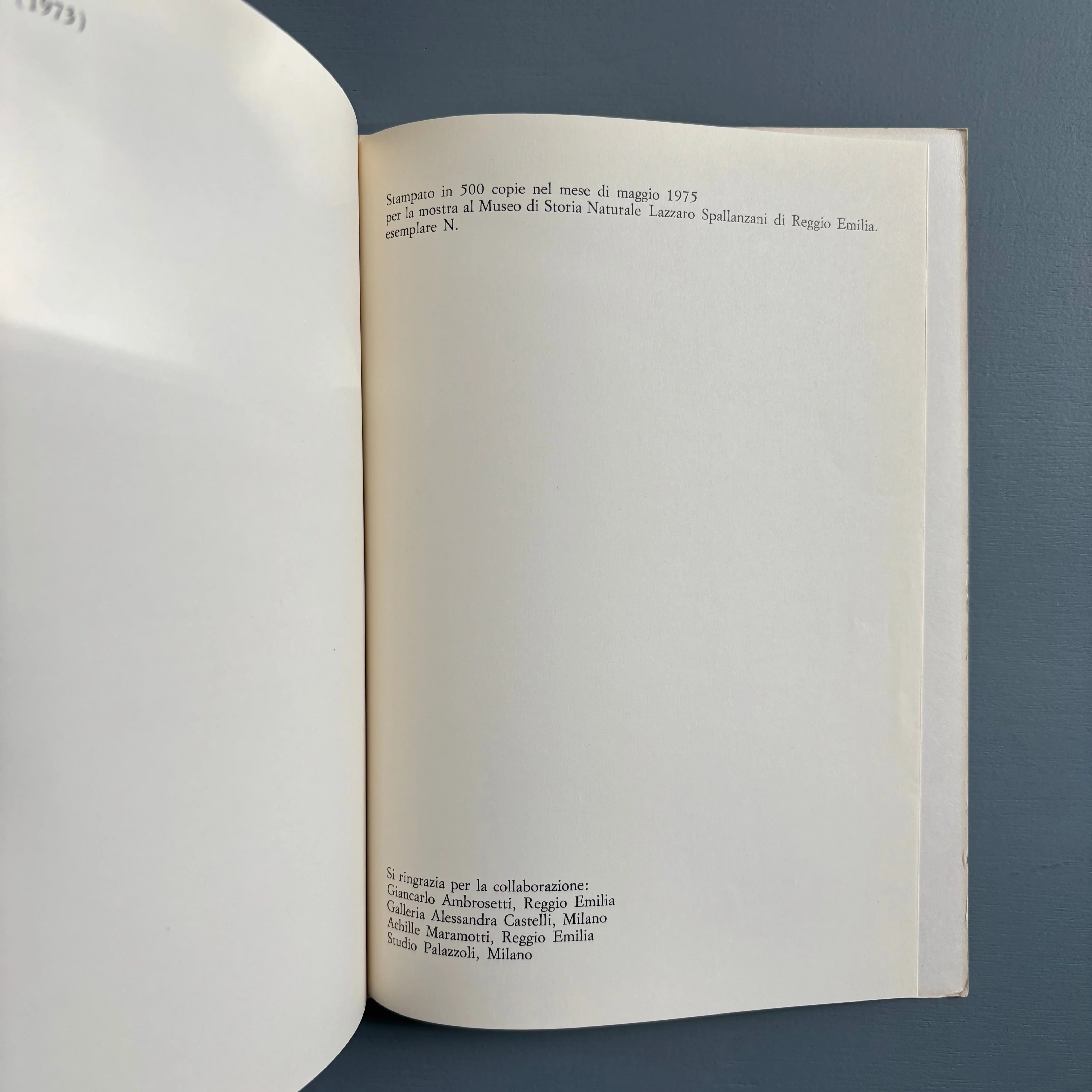 Claudio Parmiggiani / Luigi Ghirri - Alfabeto - Museo di Storia Naturale Lazzaro Spallanzani 1975 - Image 8