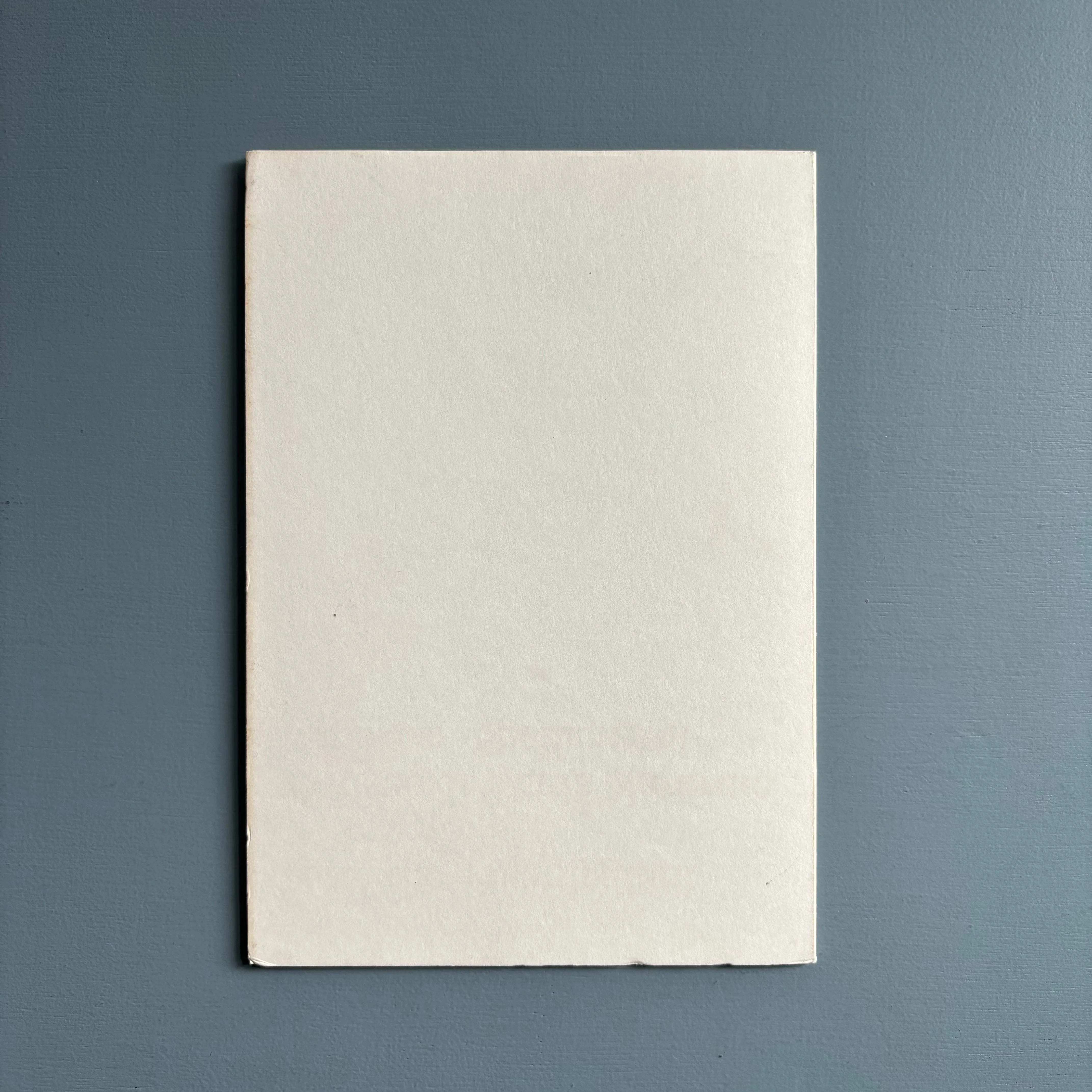 Claudio Parmiggiani / Luigi Ghirri - Alfabeto - Museo di Storia Naturale Lazzaro Spallanzani 1975 - Image 9