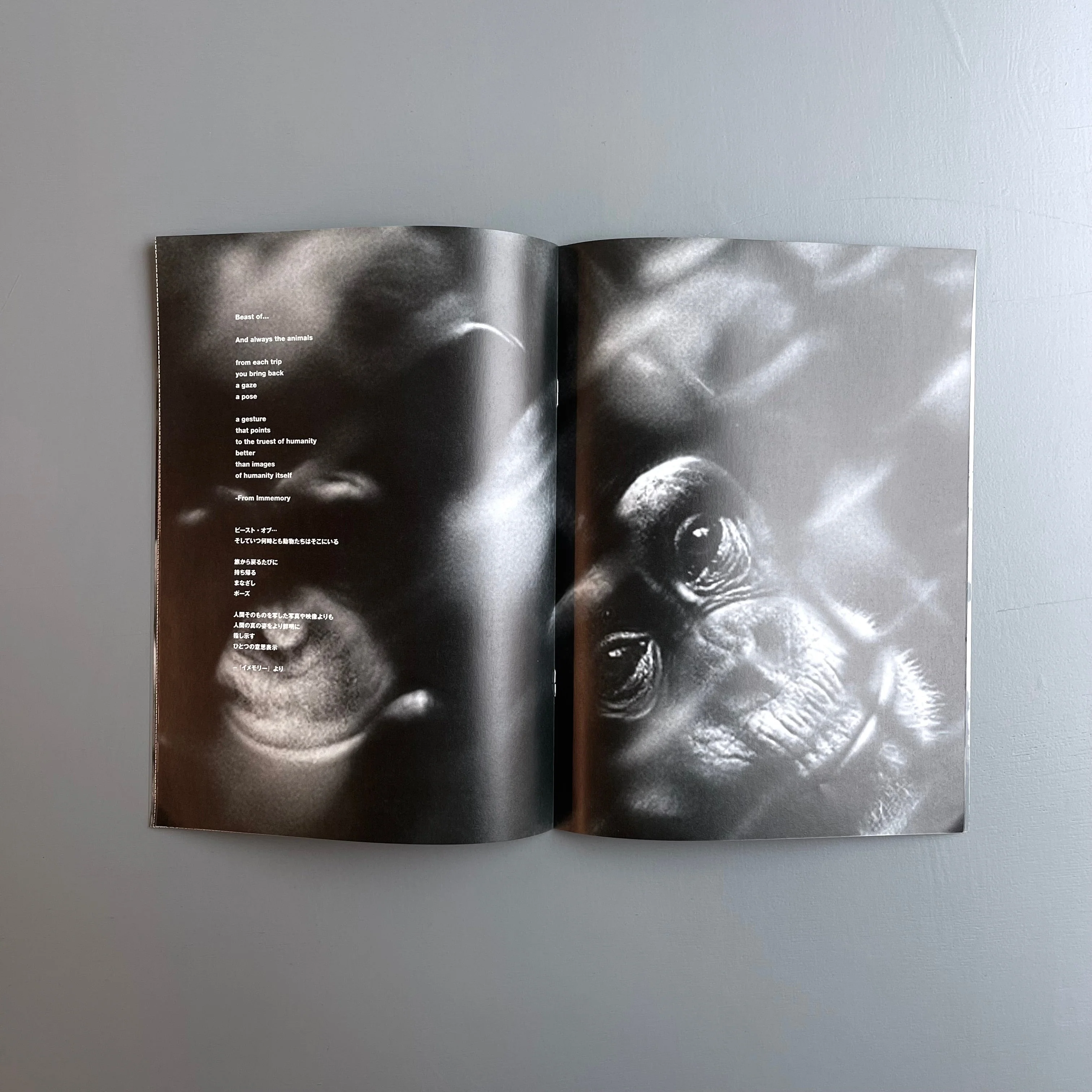 Comme des Garçons/Chris Marker - The collections have arrived - Summer 2021 - Image 6