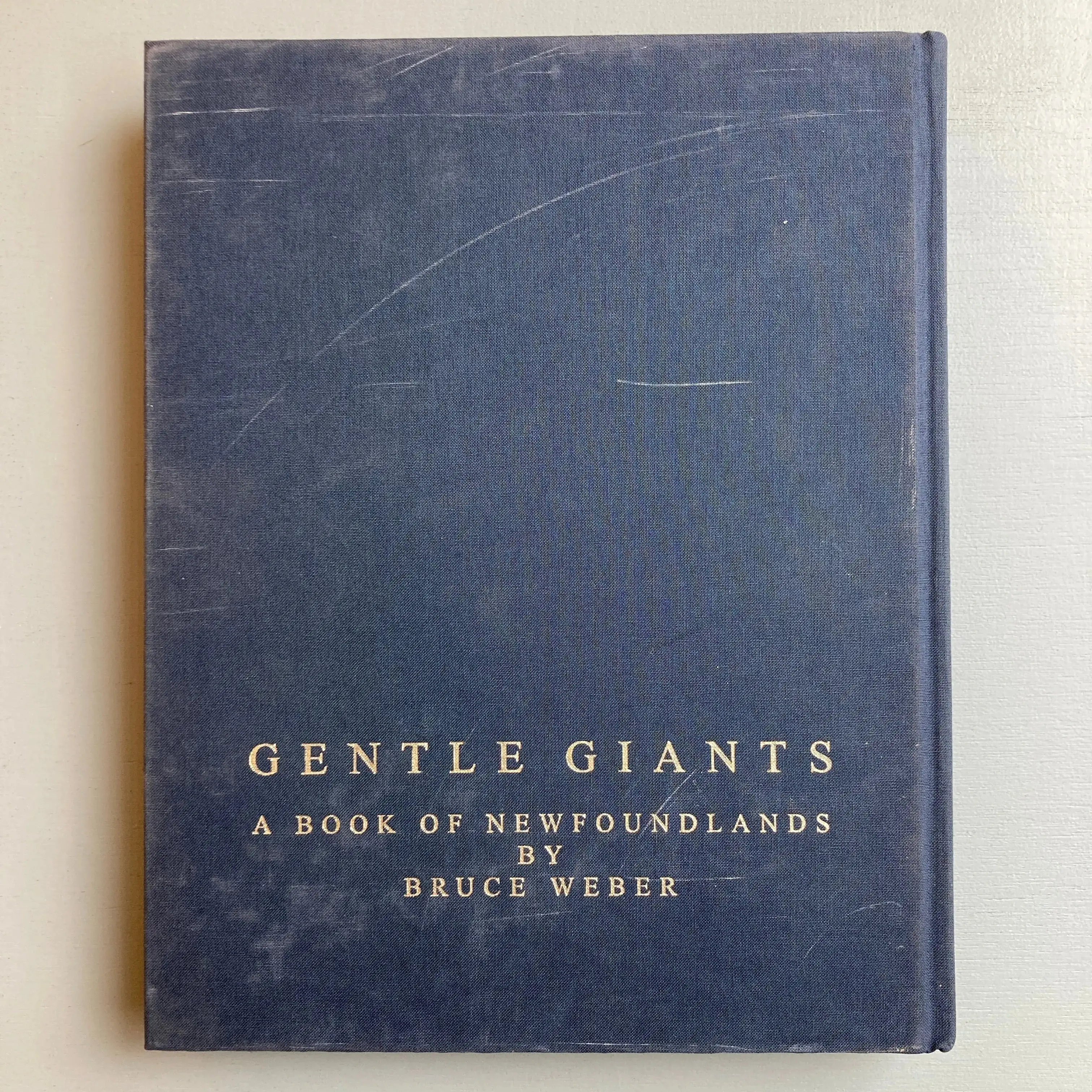 Bruce Weber - Gentle Giants - Bulfinch 1994 - Image 10
