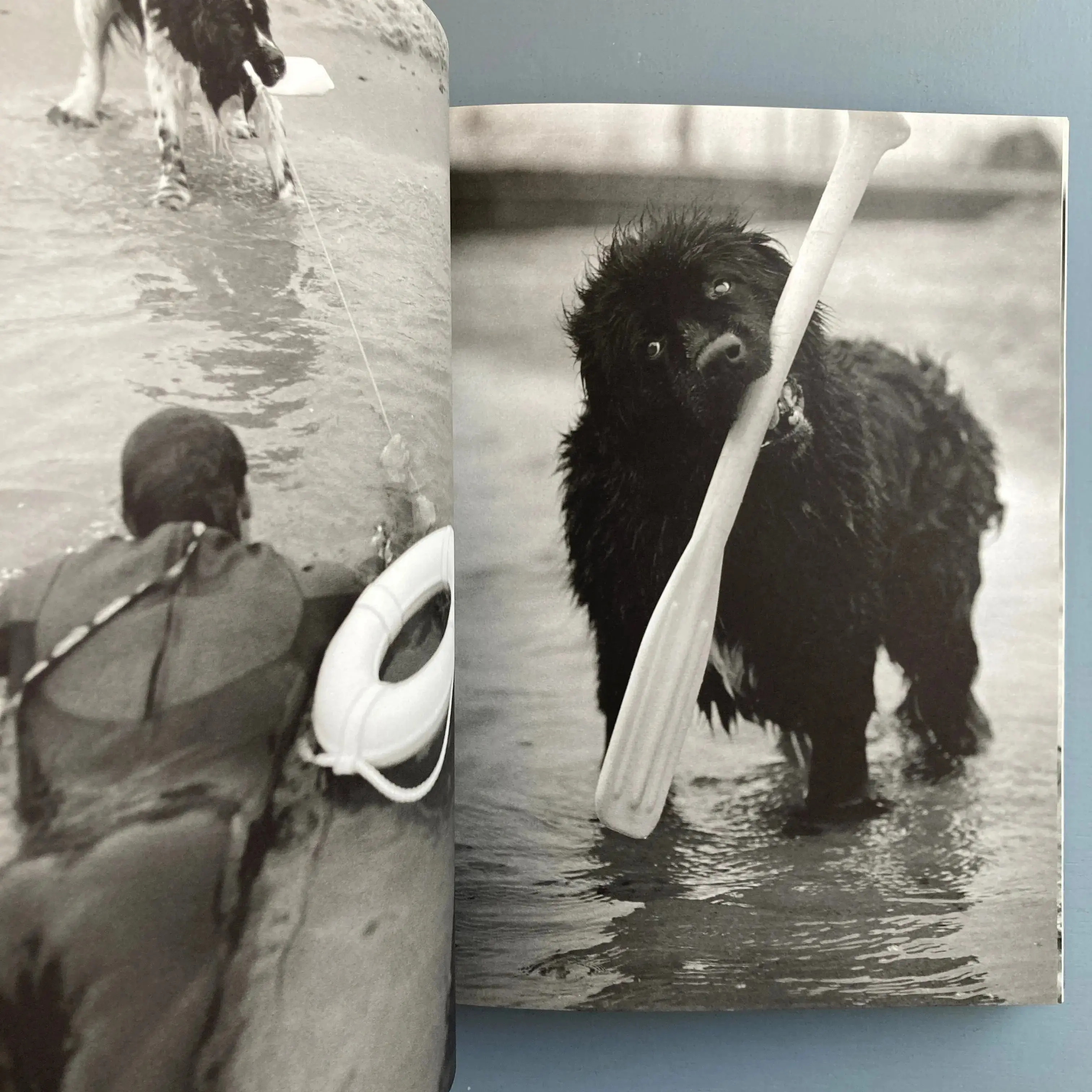 Bruce Weber - Gentle Giants - Bulfinch 1994 - Image 4
