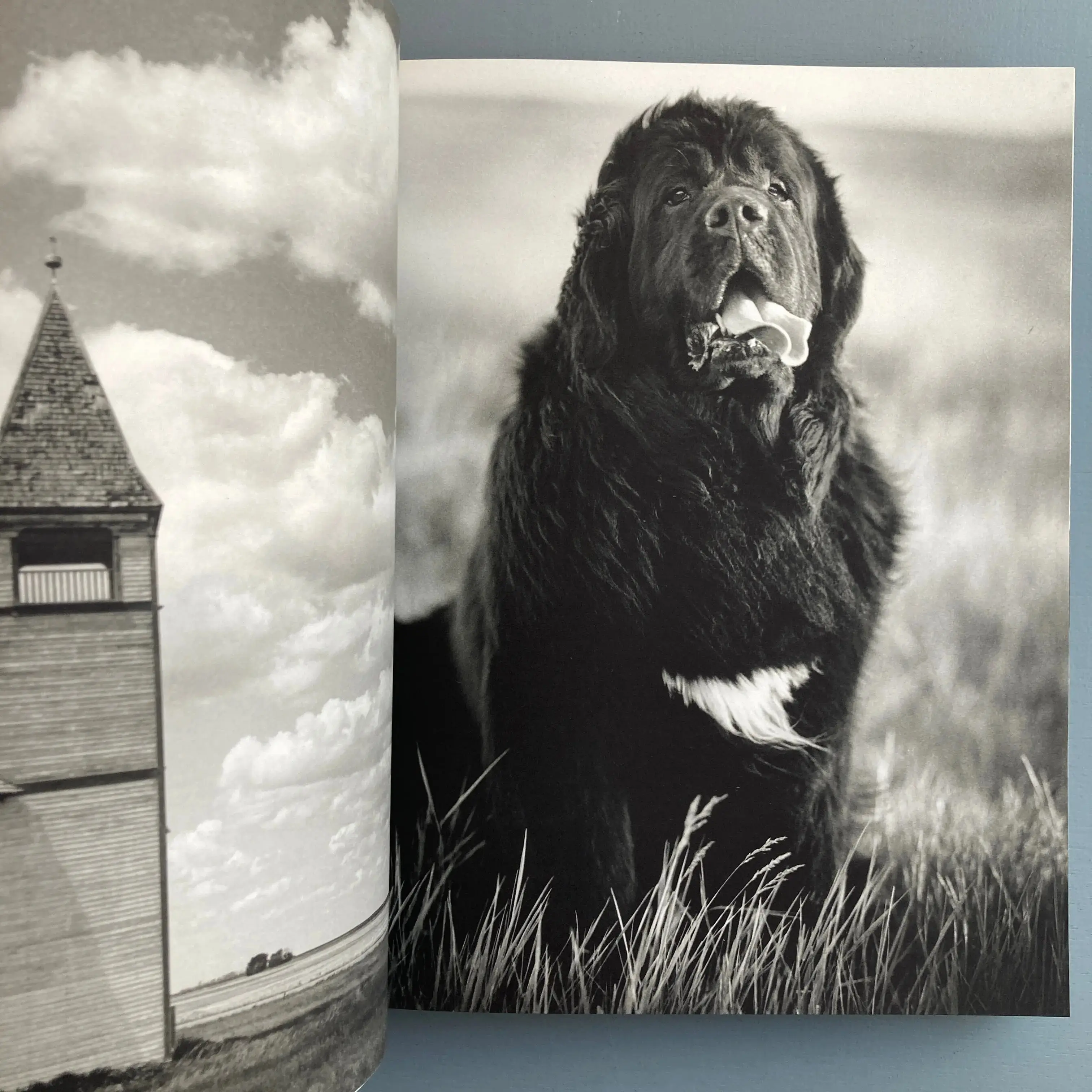 Bruce Weber - Gentle Giants - Bulfinch 1994 - Image 7