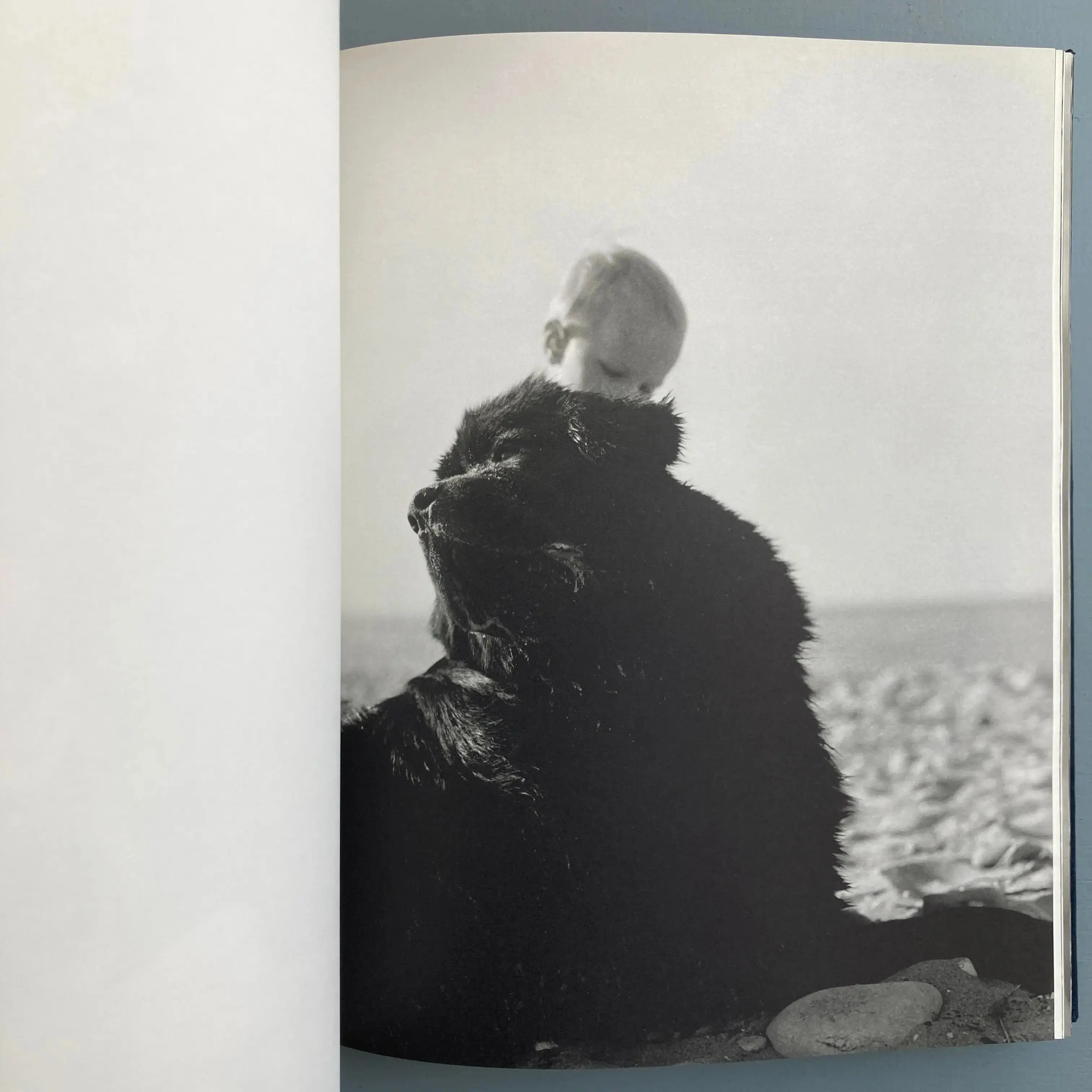 Bruce Weber - Gentle Giants - Bulfinch 1994 - Image 9