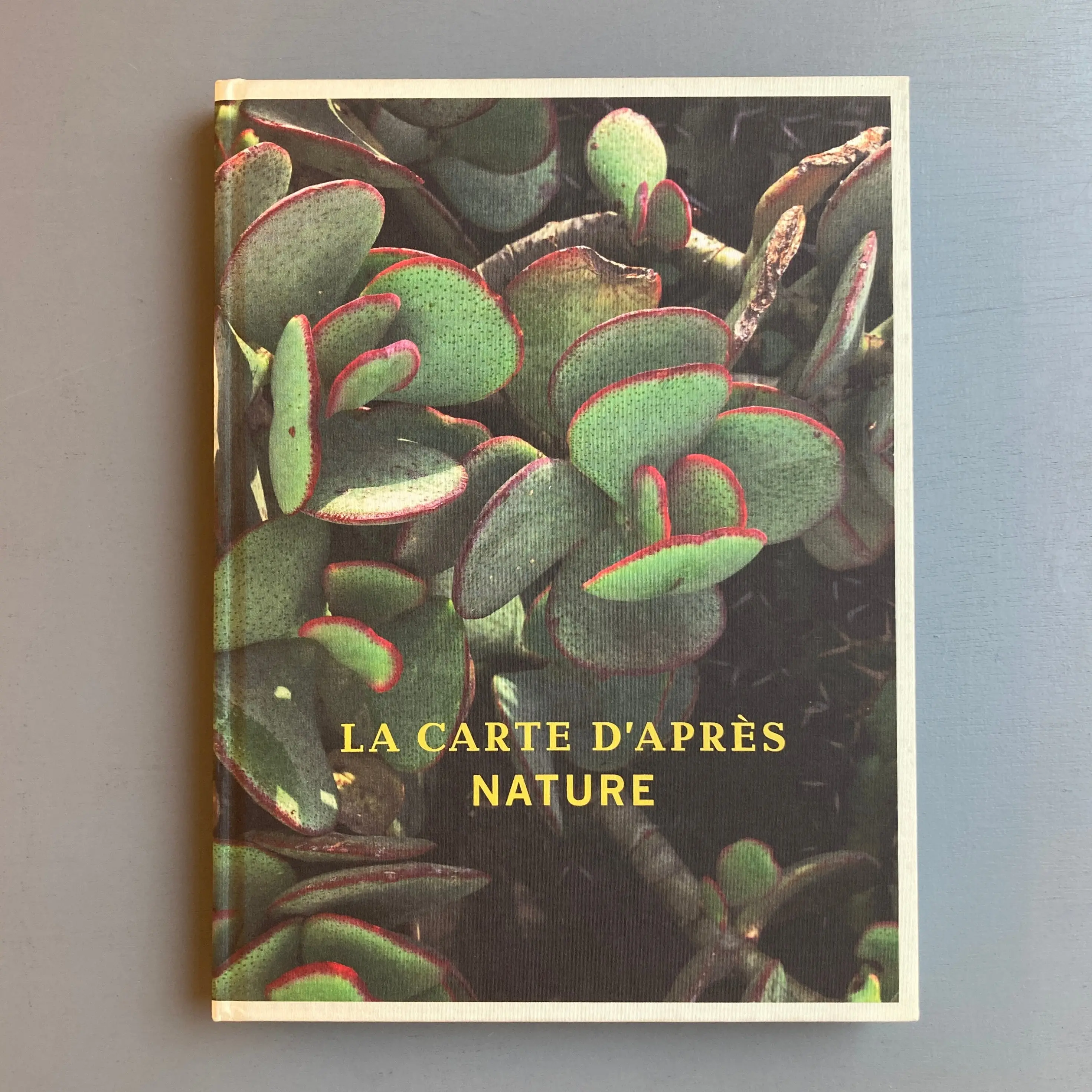 Thomas Demand - La Carte d'après Nature - MACK 2010