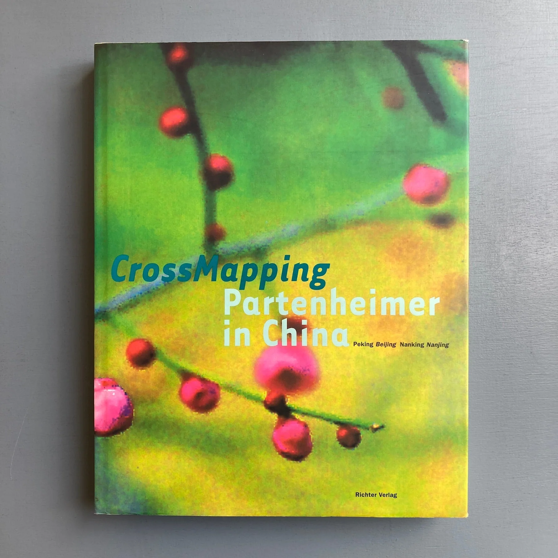 CrossMapping Partenheimer in China - Richter Verlag 2002