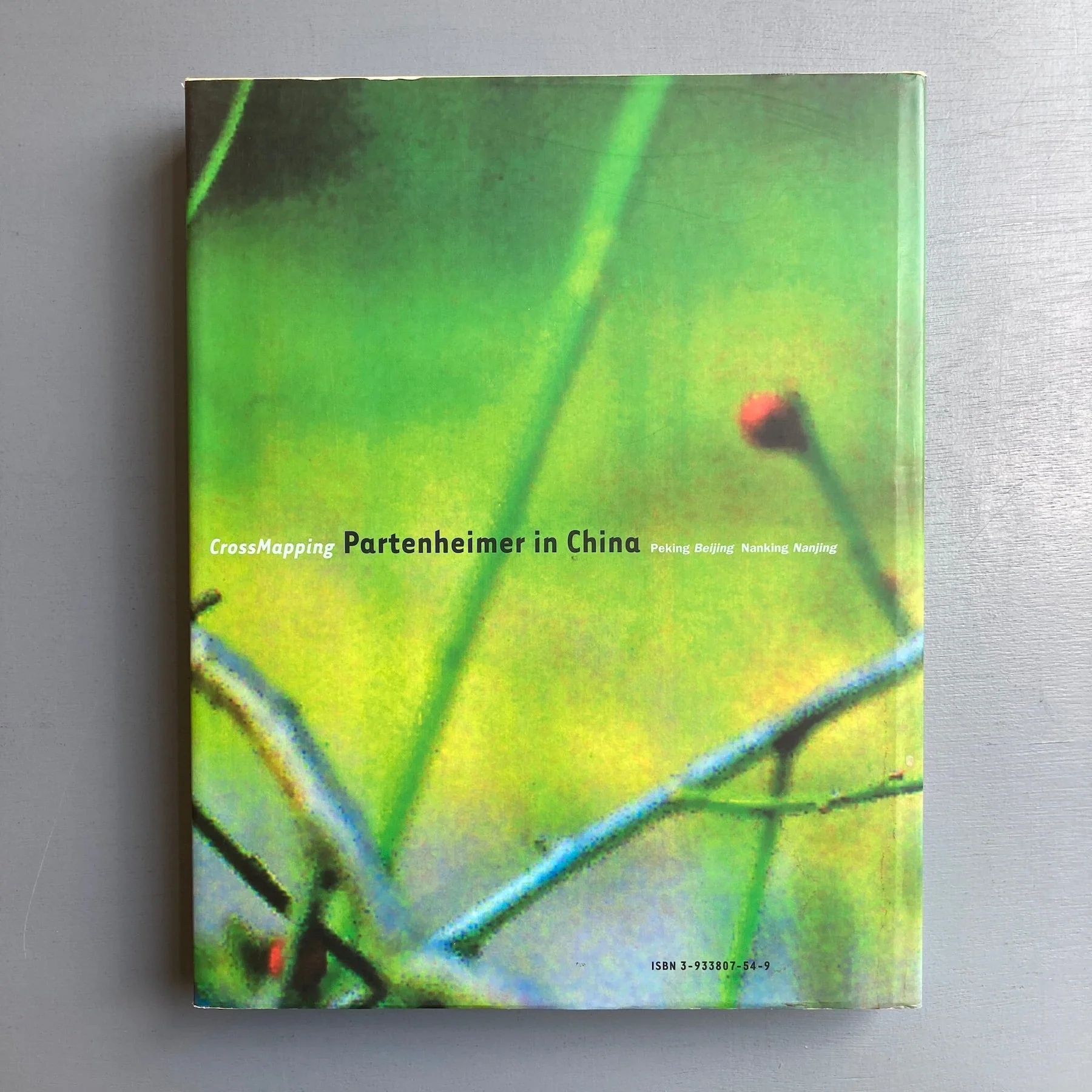 CrossMapping Partenheimer in China - Richter Verlag 2002 - Image 10