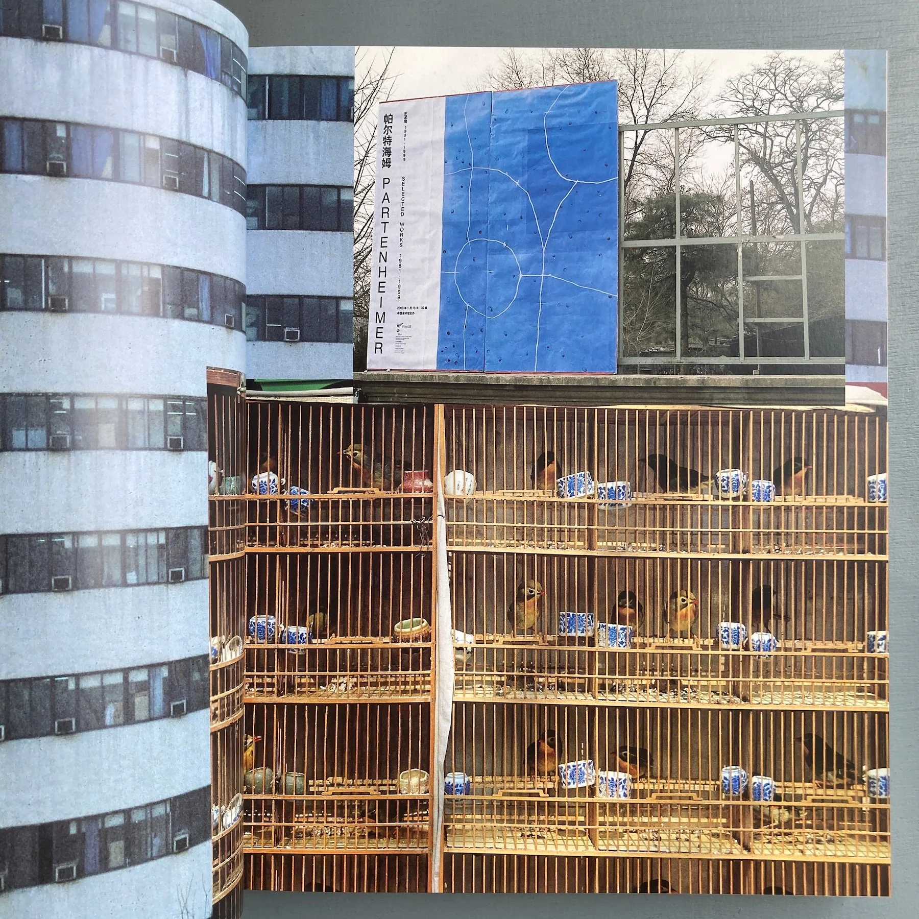 CrossMapping Partenheimer in China - Richter Verlag 2002 - Image 3