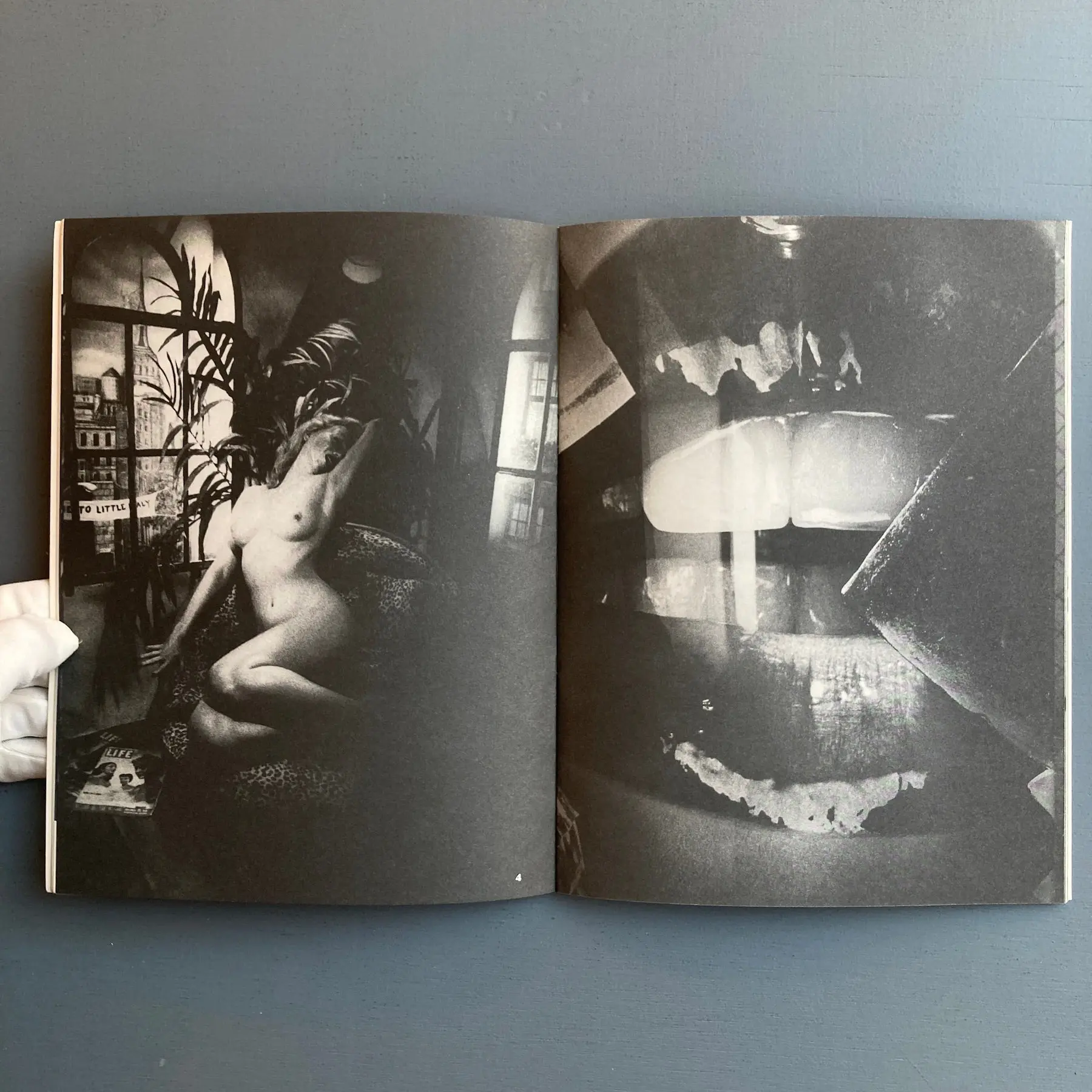 Daido Moriyama, Raymond Pettibon, Ryan McGinley... - Other Scenes - Nieves 2007 - Image 6