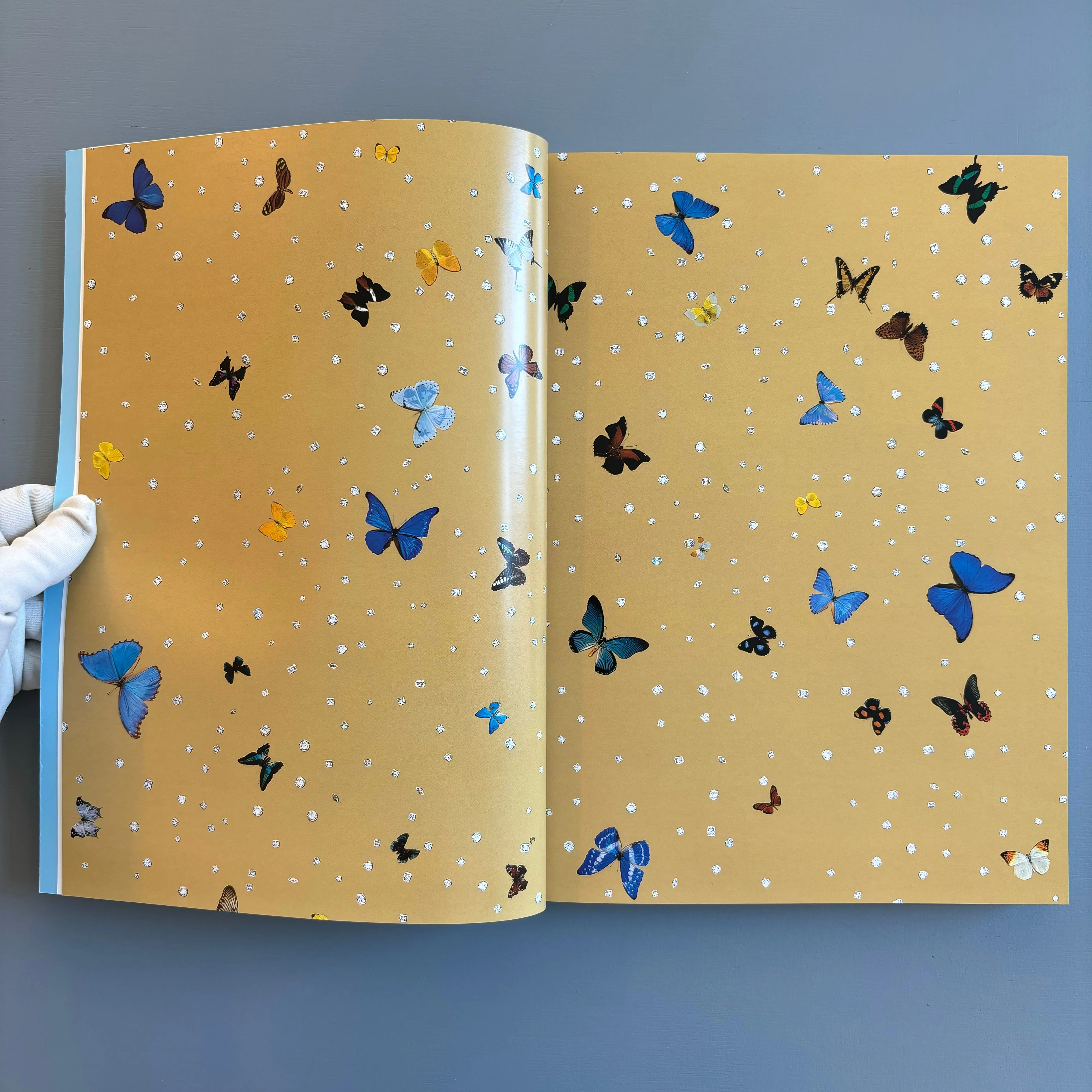 Damien Hirst - Beautiful inside my head forever - Sotheby's 2008 - Image 7