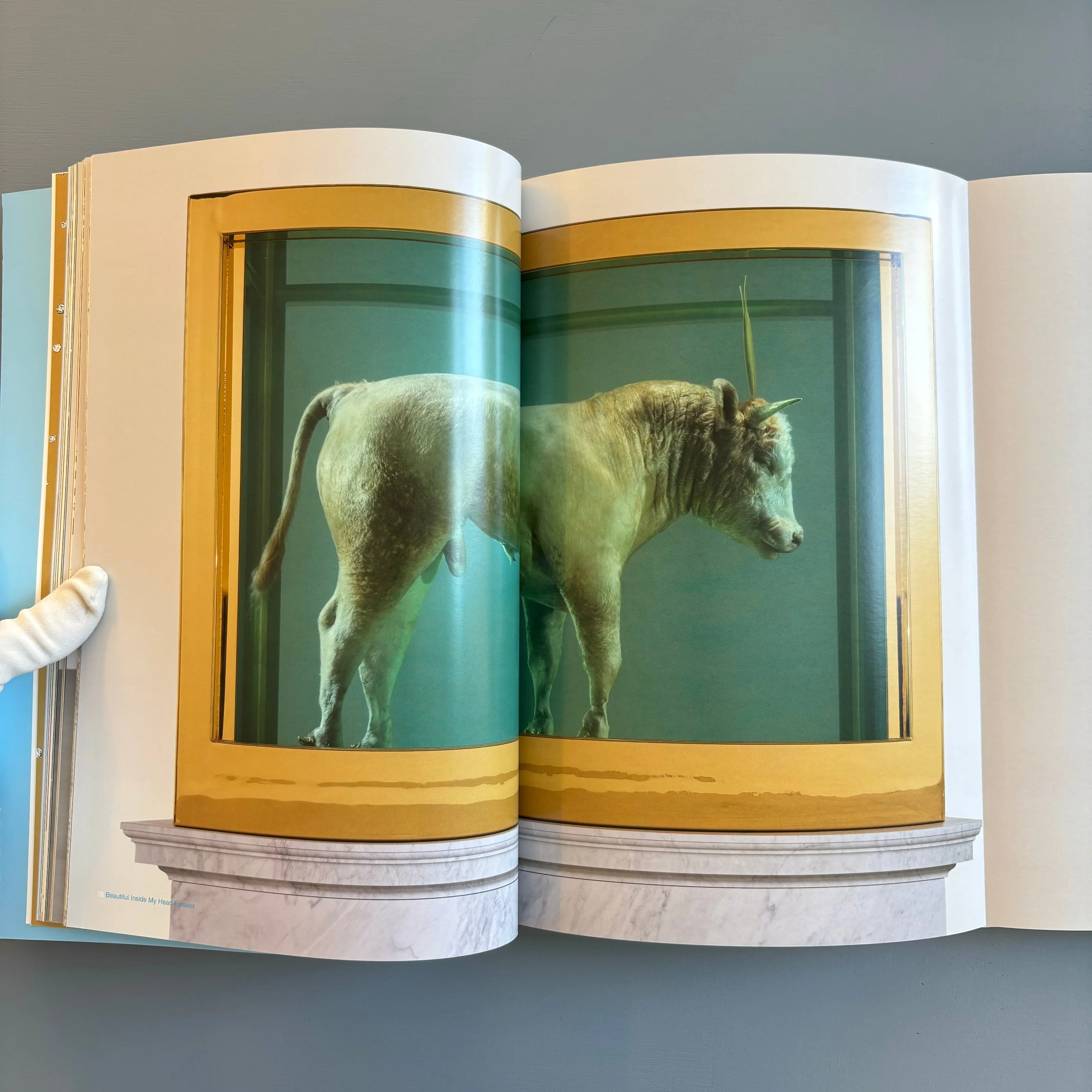 Damien Hirst - Beautiful inside my head forever - Sotheby's 2008 - Image 9