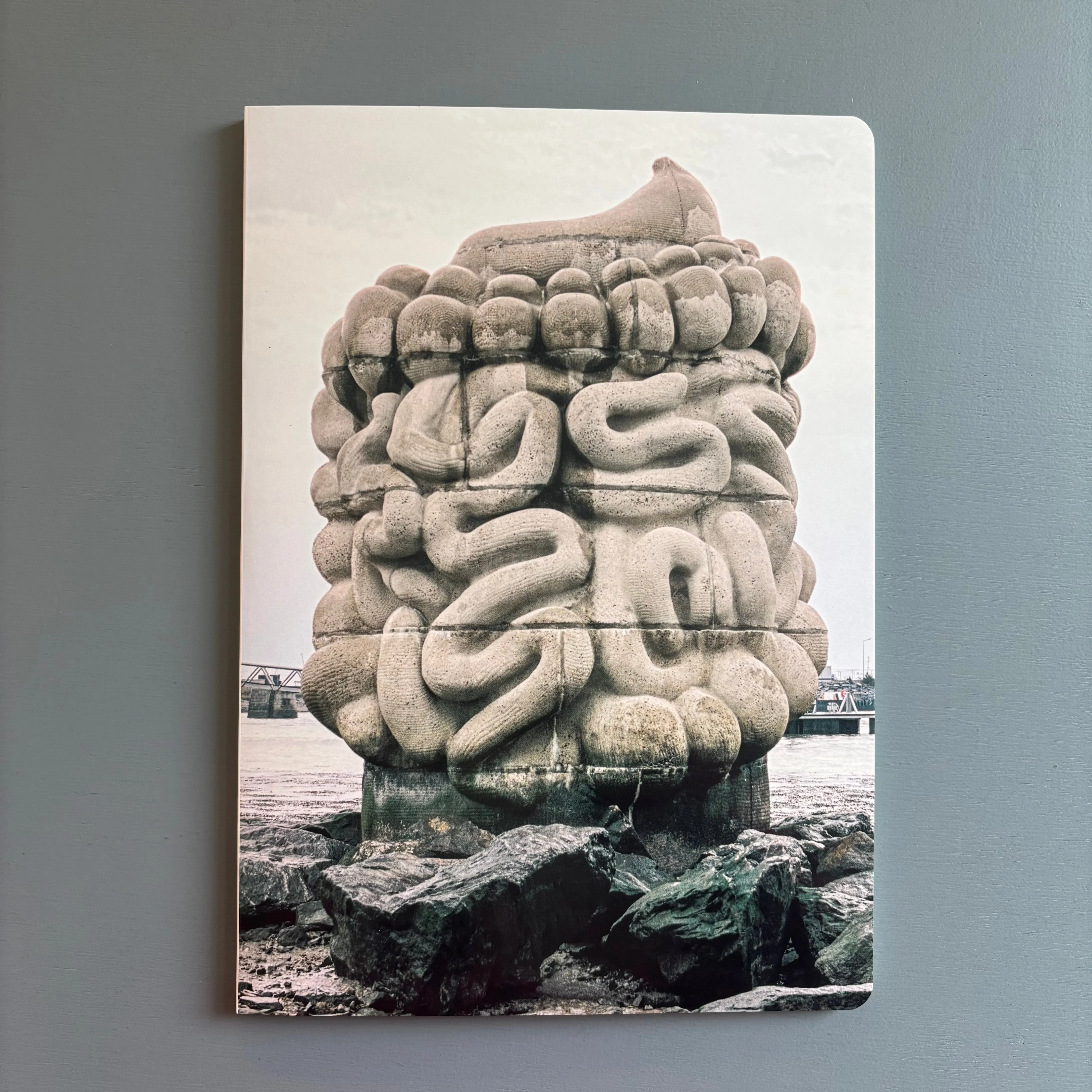 Daniel Dewar & Grégory Gicquel - Le pied, le pull-over et le système digestif - Triangle Books 2025