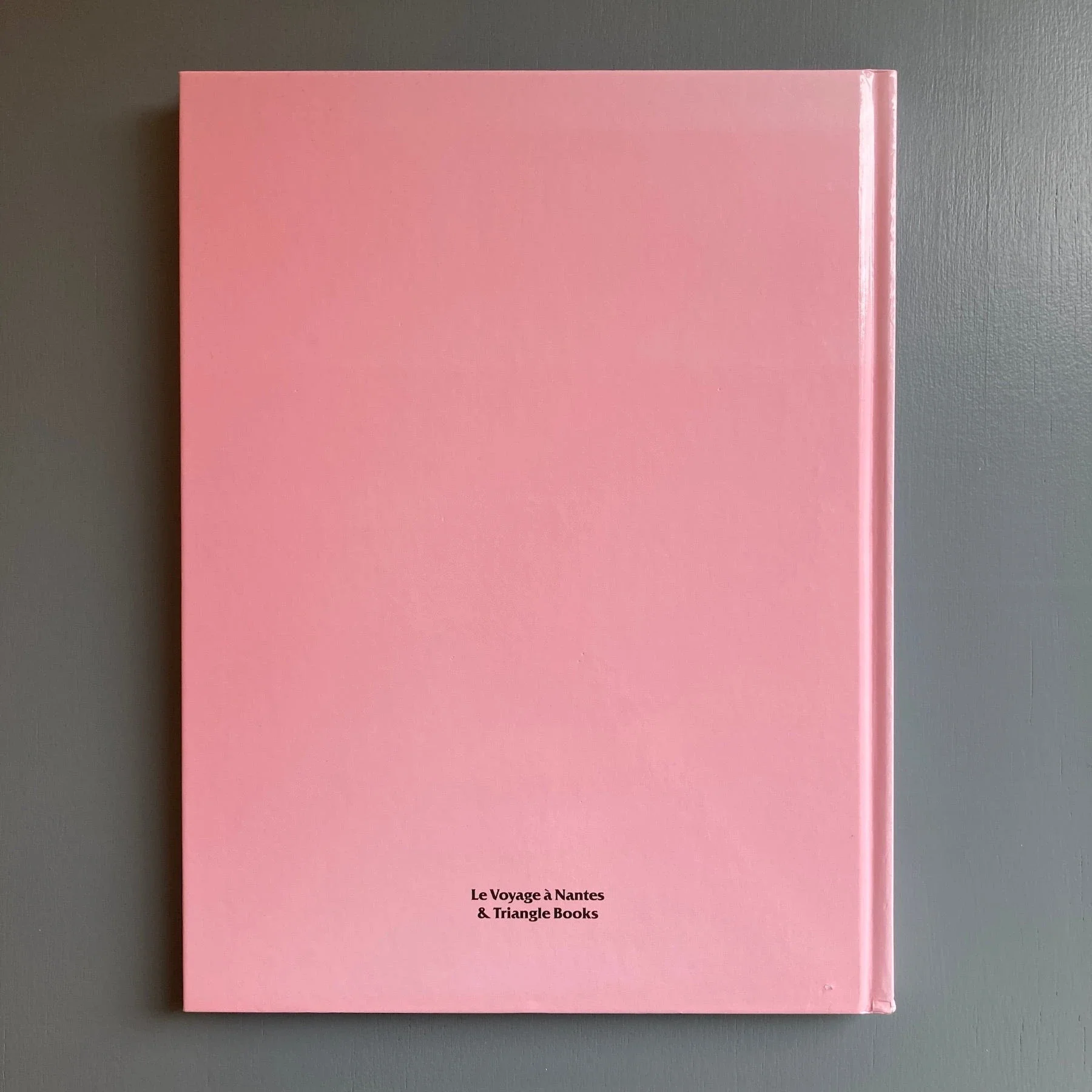 Daniel Dewar & Grégory Gicquel - Rosa Aurora - Triangle Books 2017 - Image 10