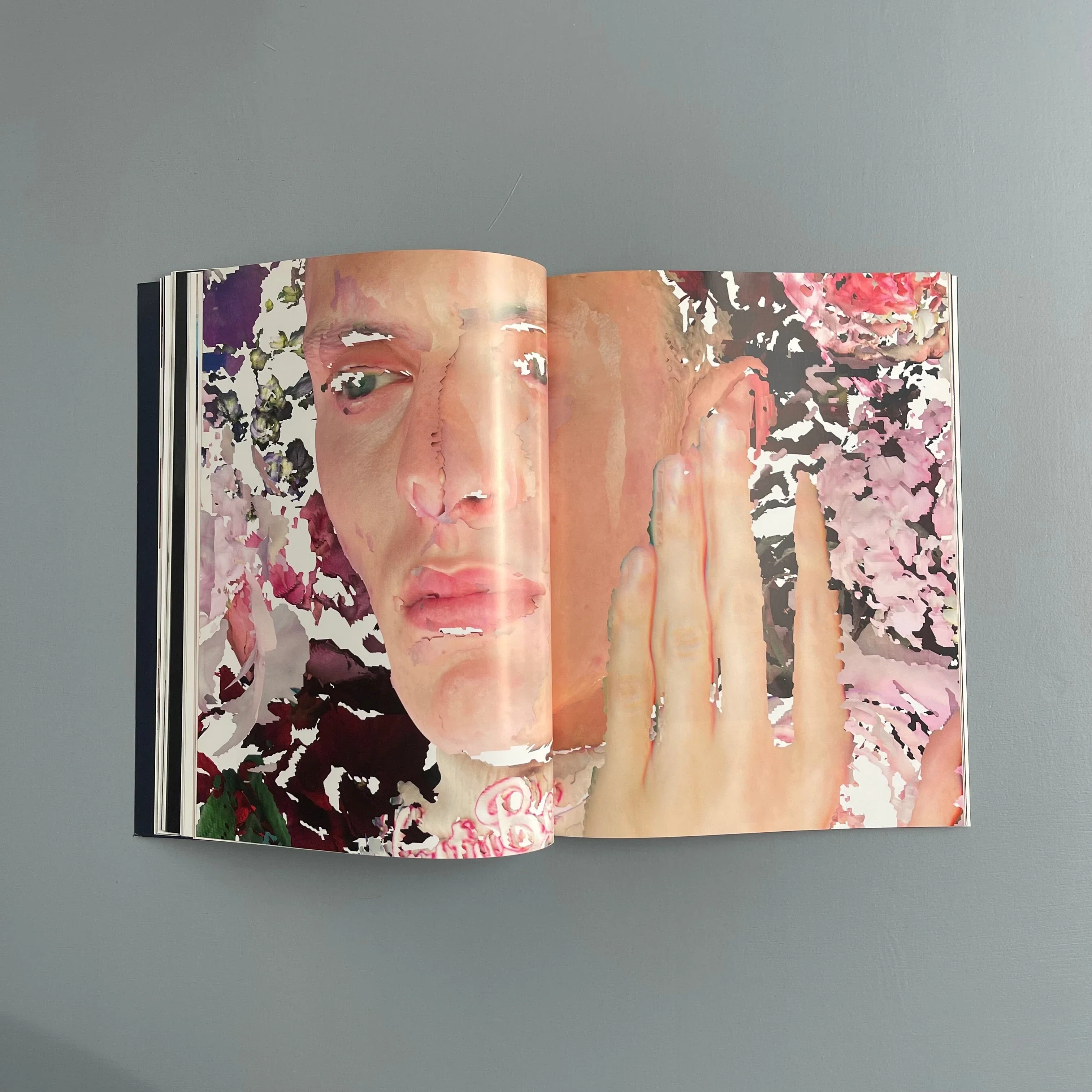 Daniel Sannwald - Spektrum - Hatje Cantz 2017 - Image 7