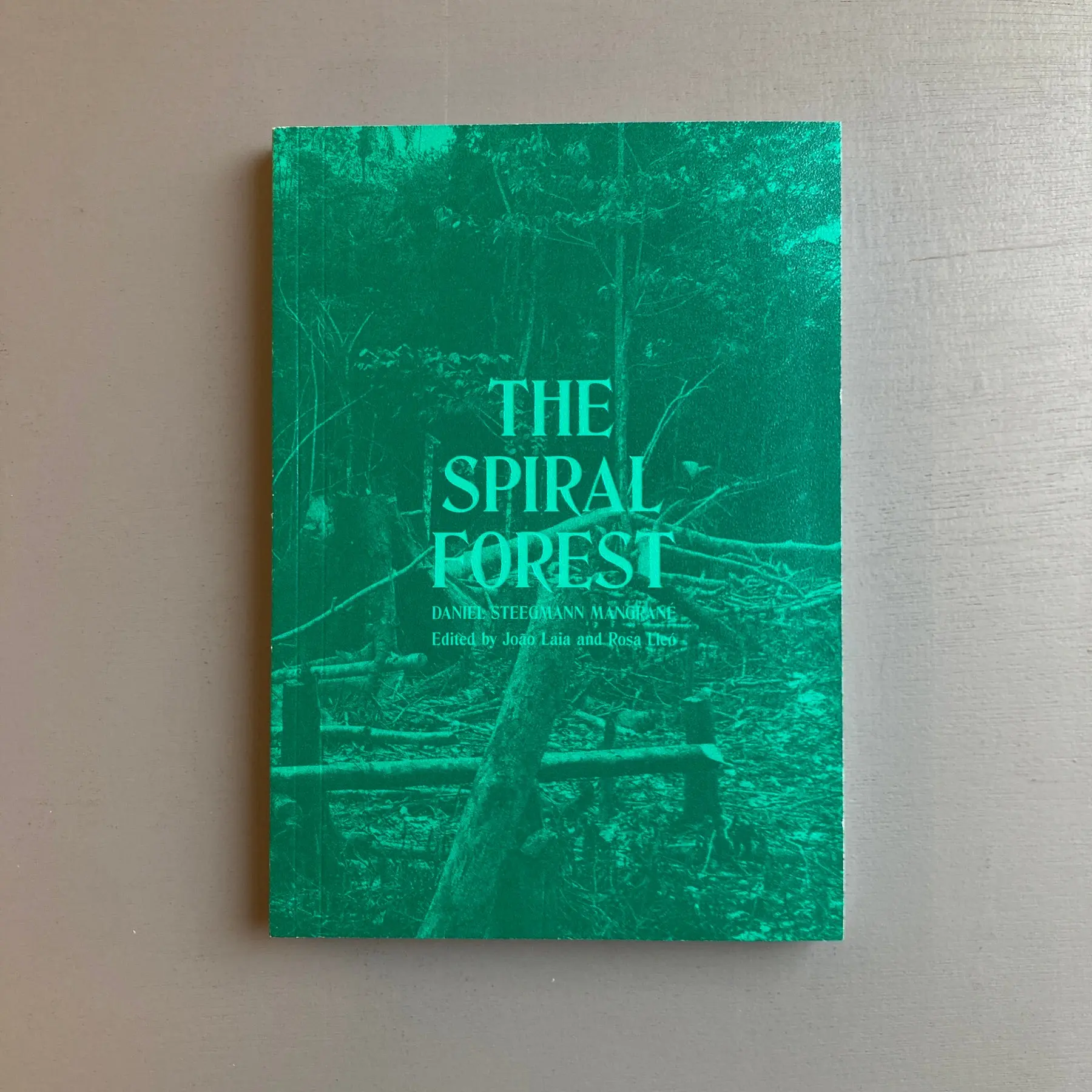 Daniel Steegman Mangrané - The Spiritual Forest - Mousse 2018