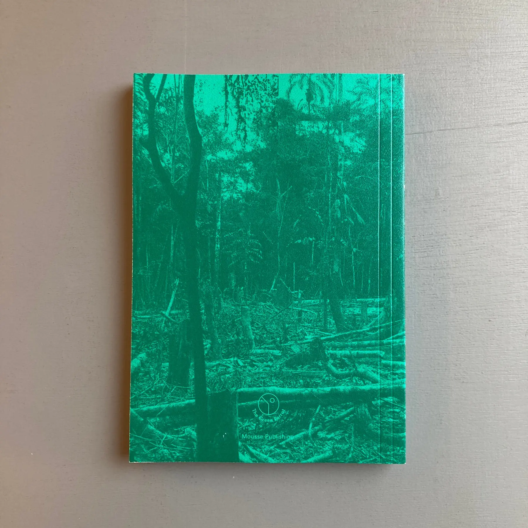 Daniel Steegman Mangrané - The Spiritual Forest - Mousse 2018 - Image 10