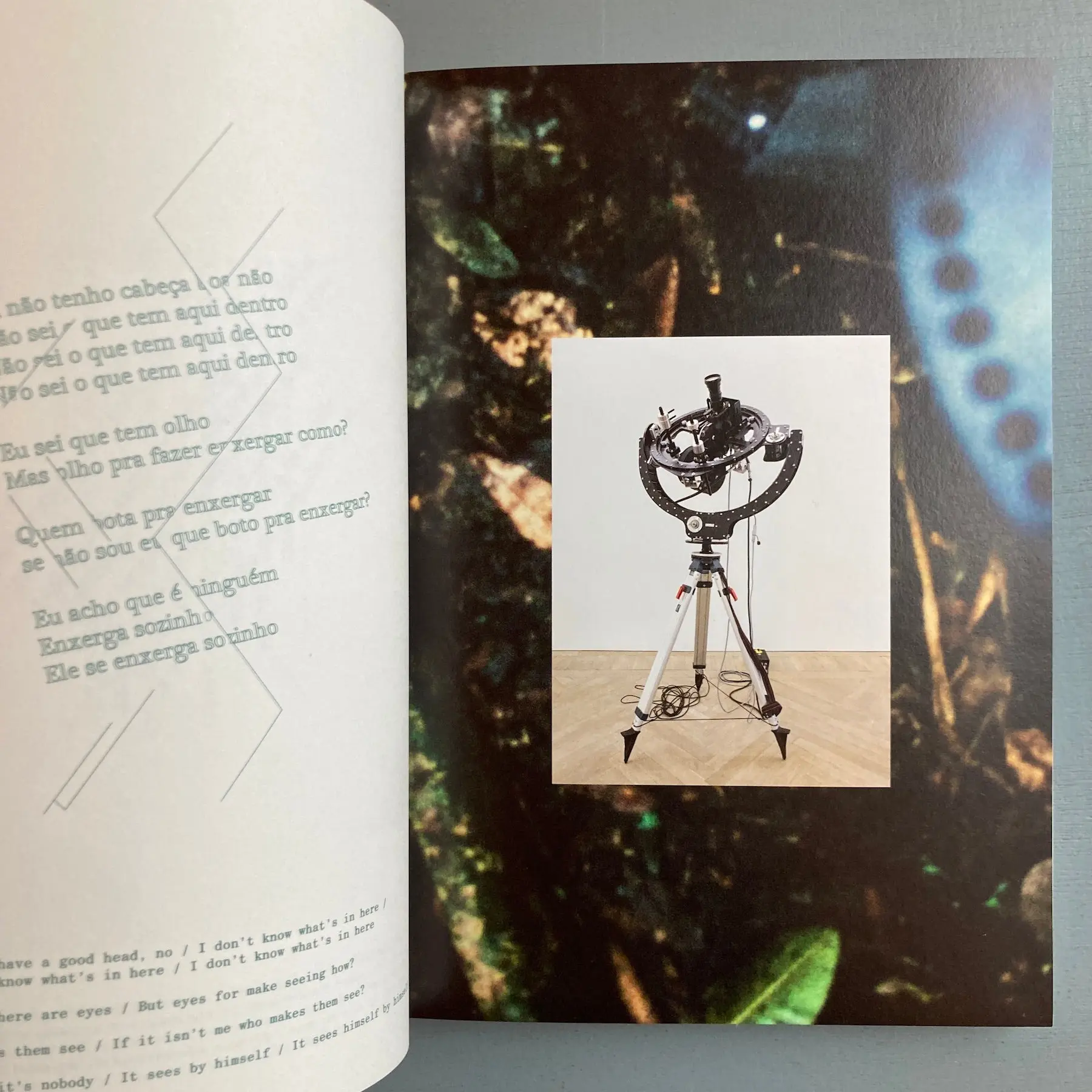 Daniel Steegman Mangrané - The Spiritual Forest - Mousse 2018 - Image 2