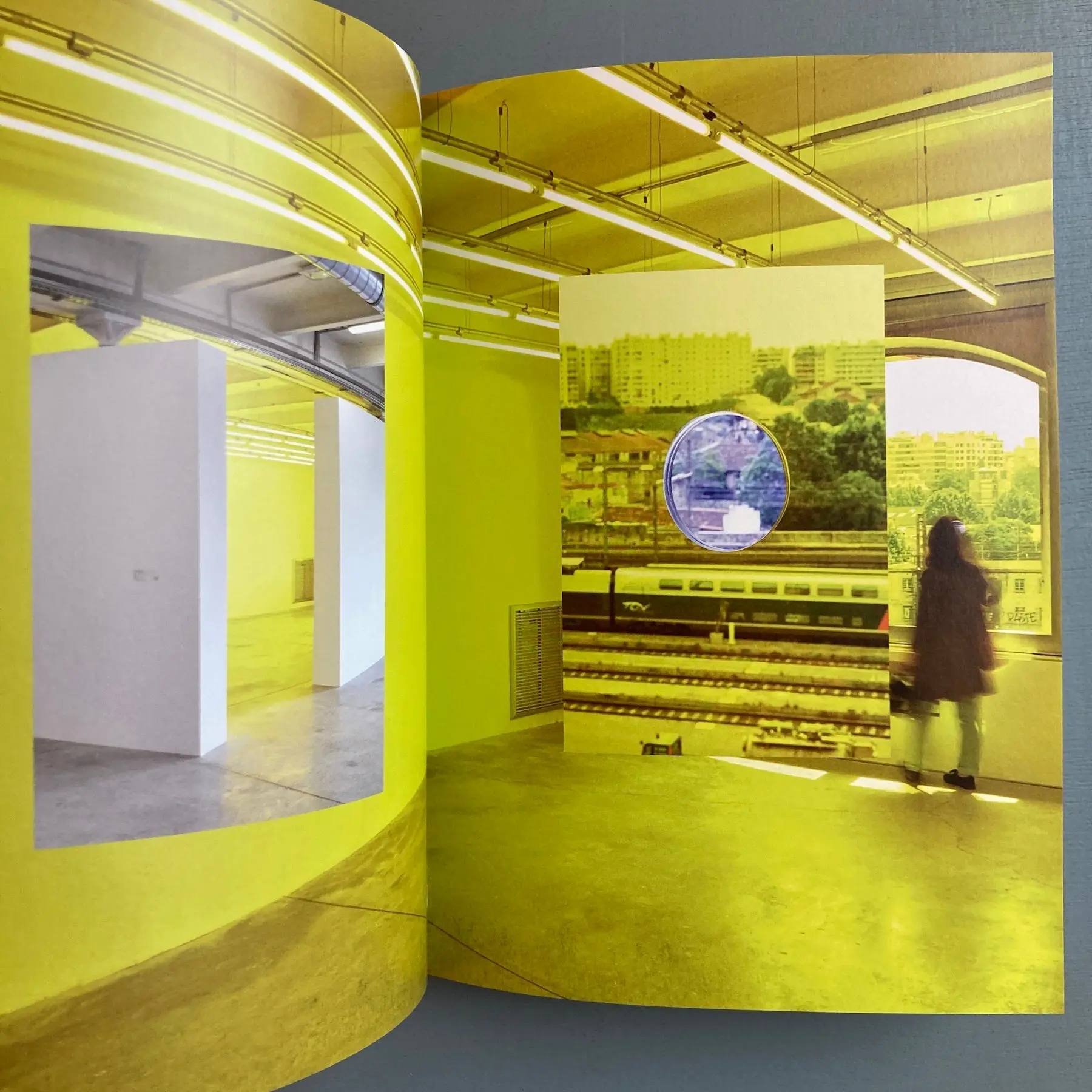 Daniel Steegman Mangrané - The Spiritual Forest - Mousse 2018 - Image 3