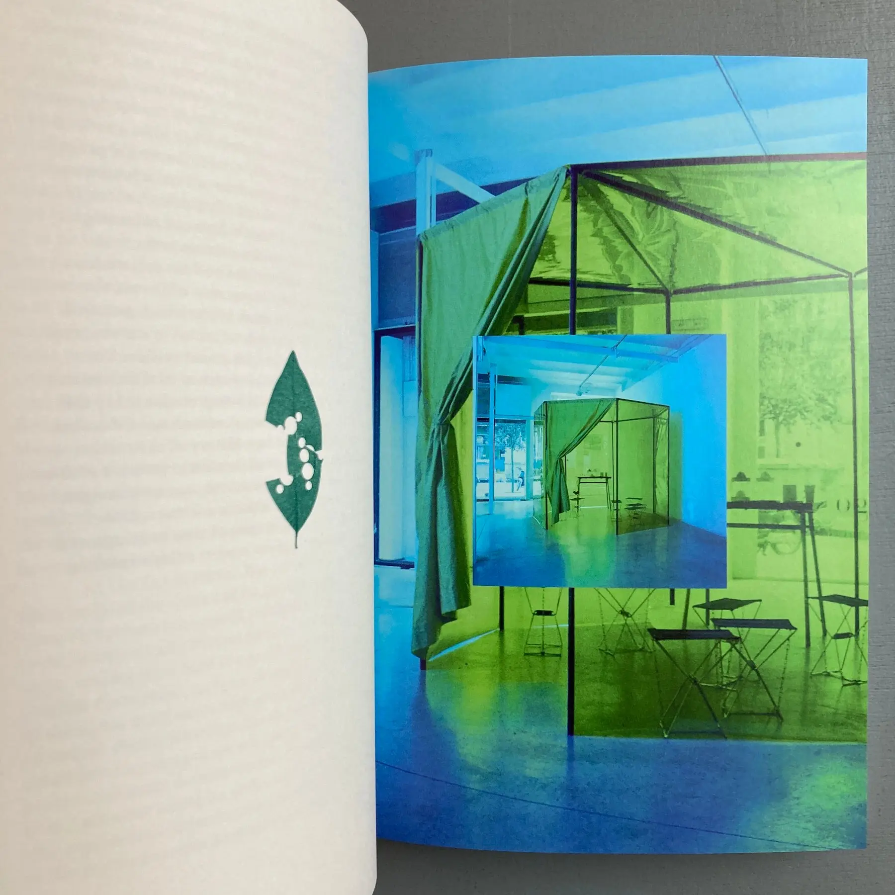 Daniel Steegman Mangrané - The Spiritual Forest - Mousse 2018 - Image 4