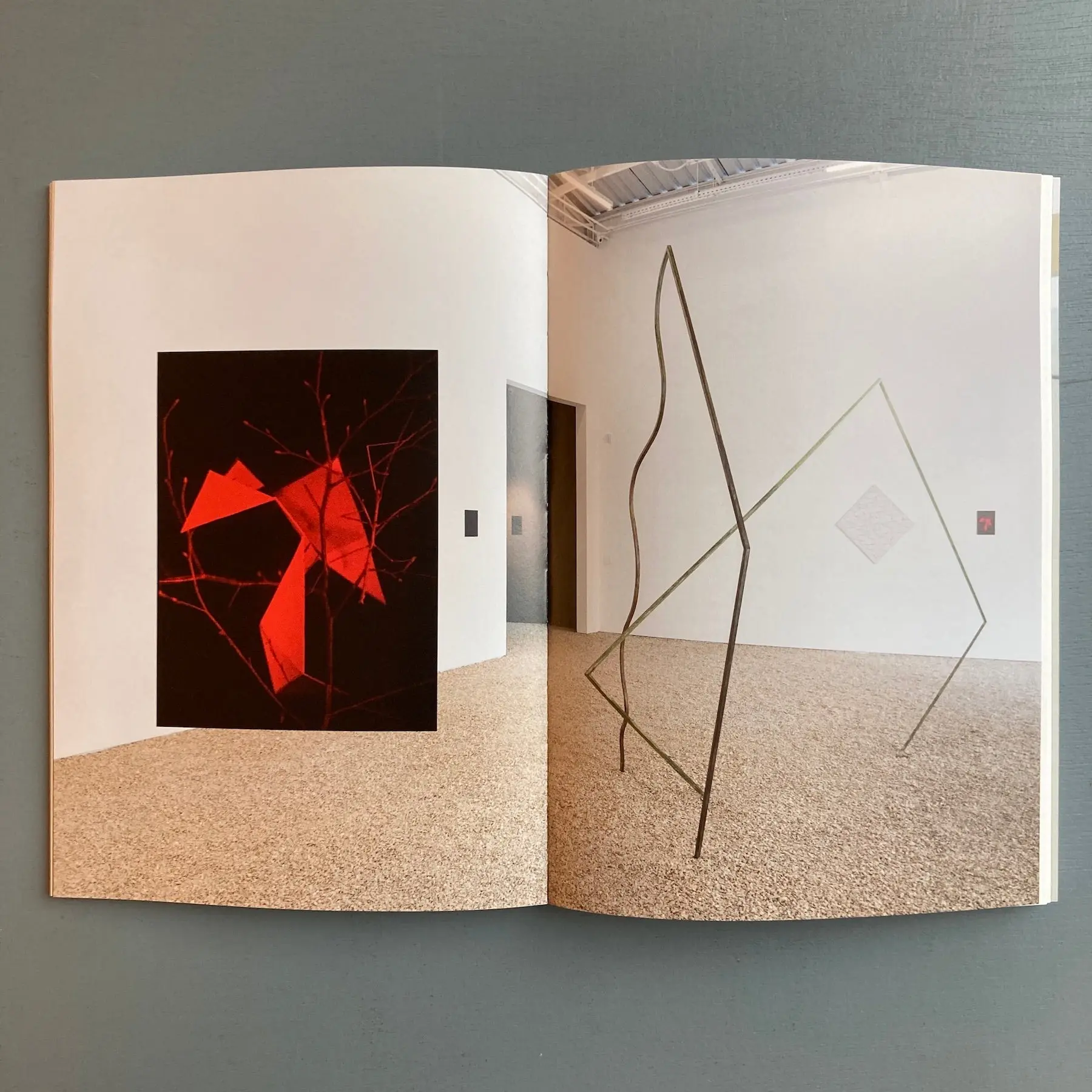 Daniel Steegman Mangrané - The Spiritual Forest - Mousse 2018 - Image 9