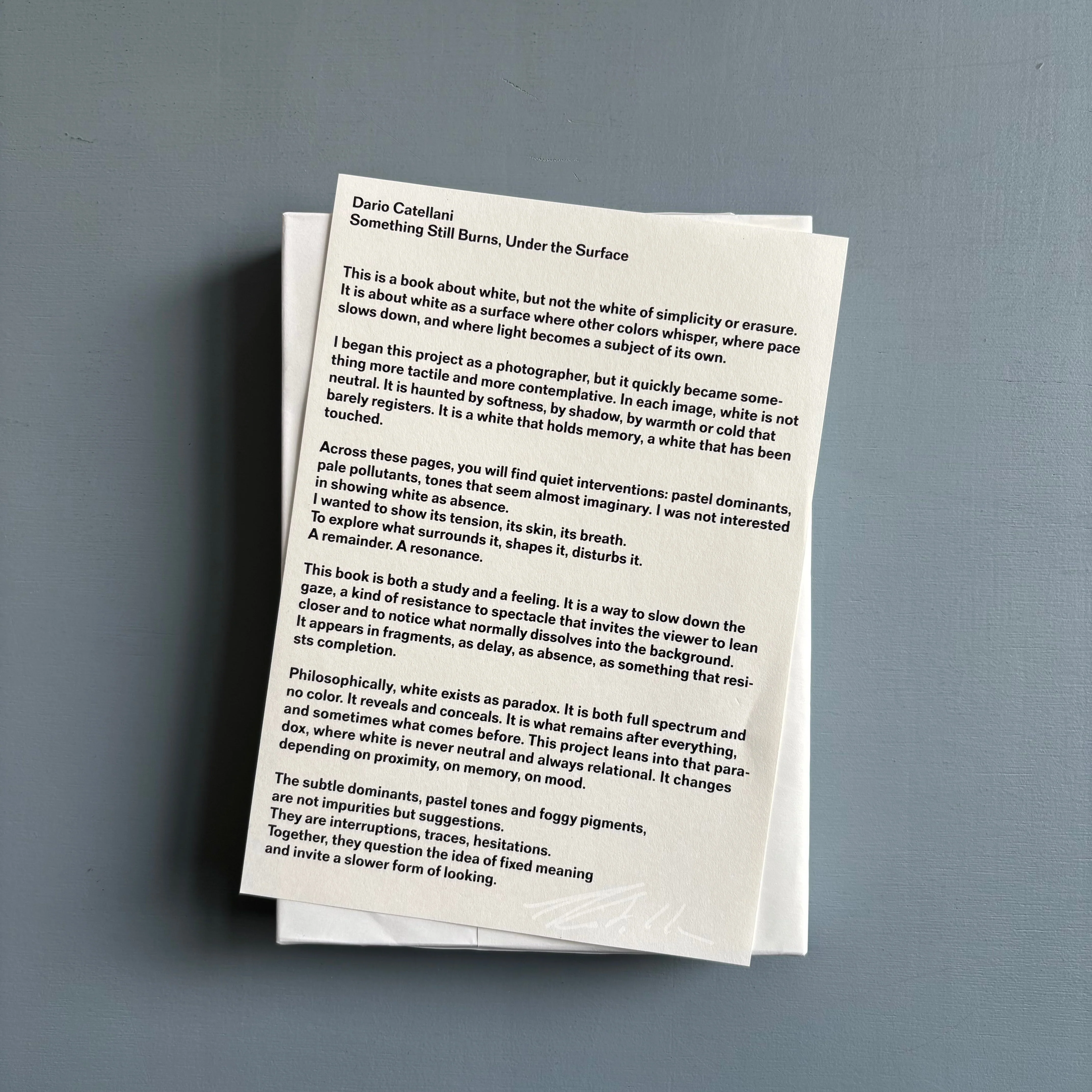 Dario Catellani - Something still burns, under the surface - Self-published 2025 - Image 11