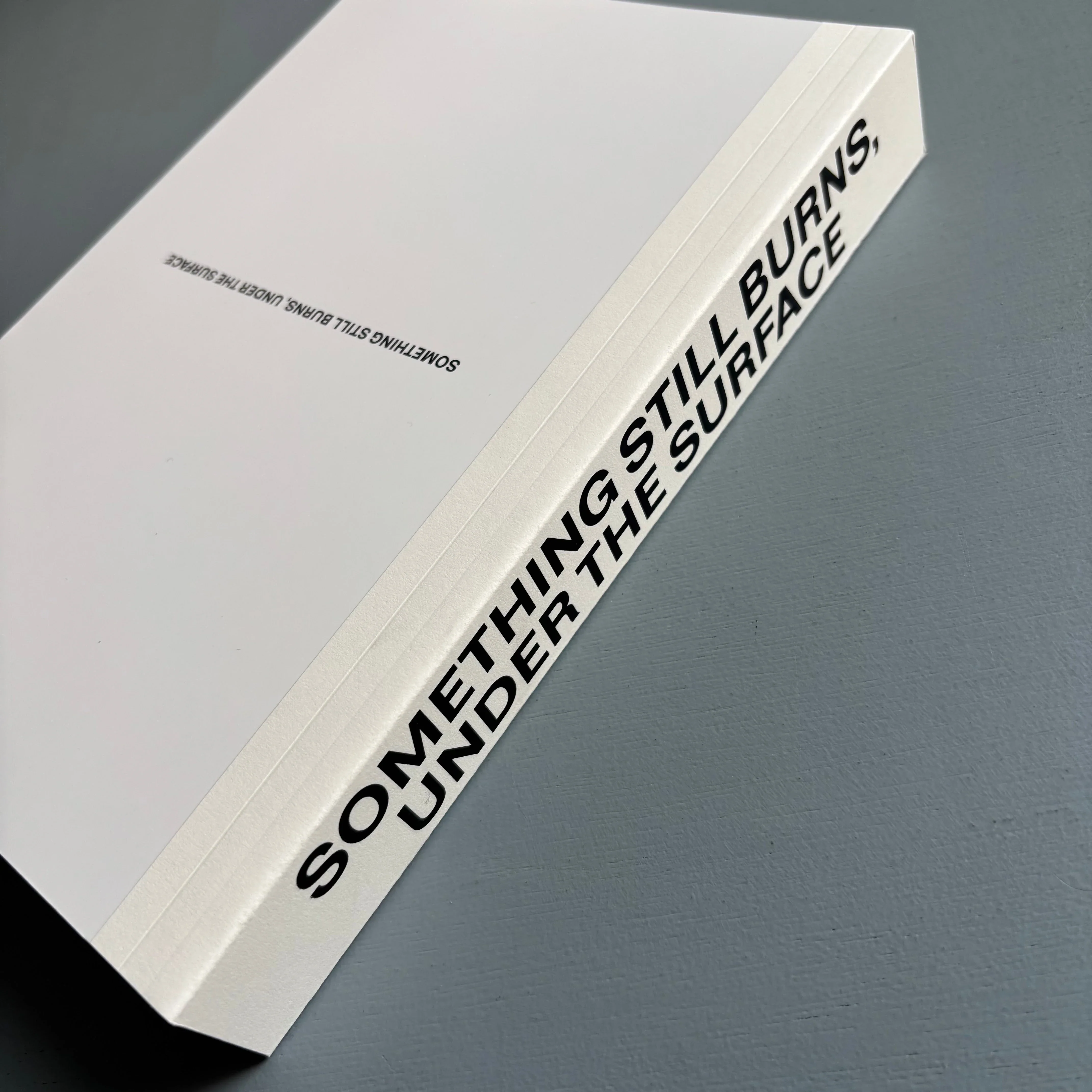 Dario Catellani - Something still burns, under the surface - Self-published 2025 - Image 12