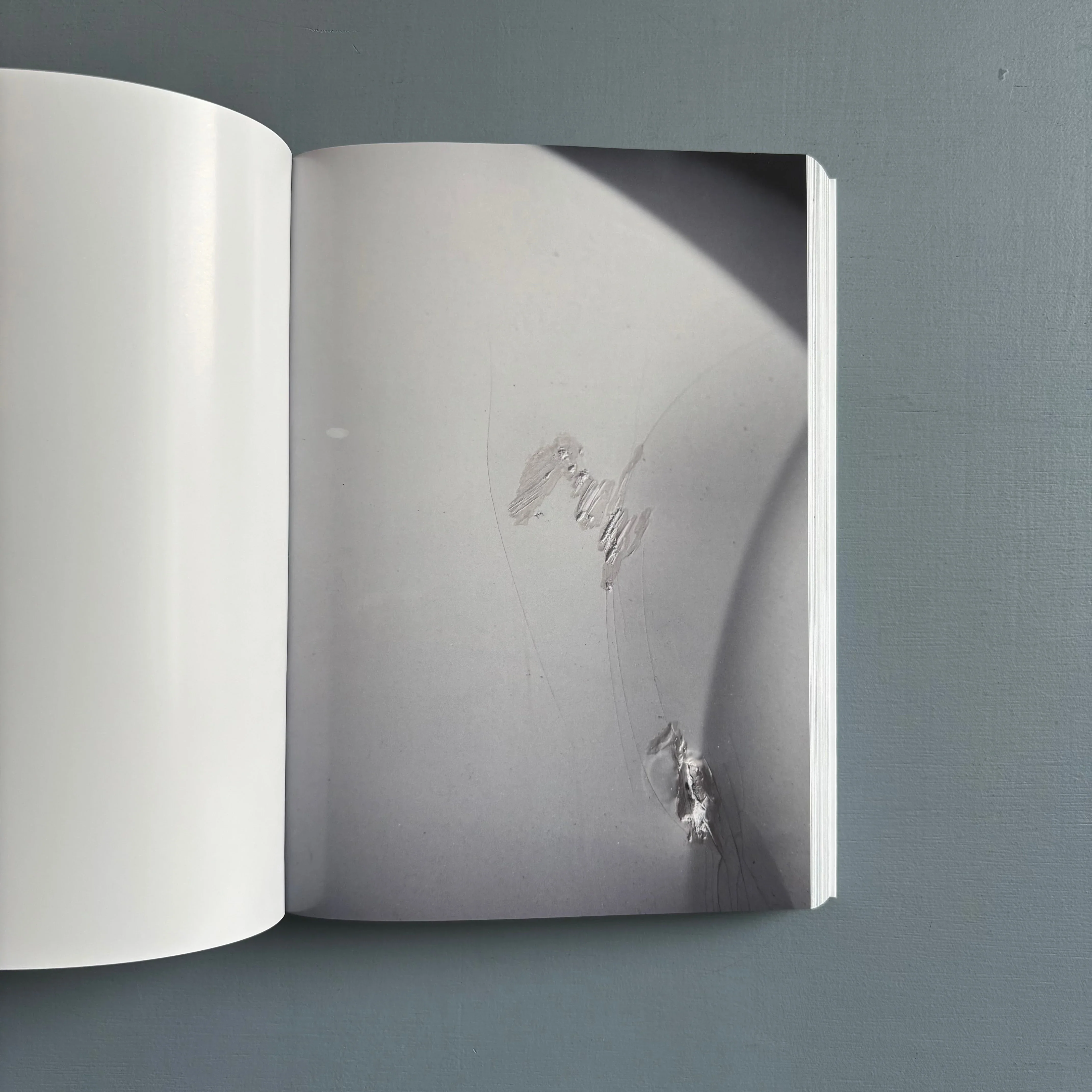 Dario Catellani - Something still burns, under the surface - Self-published 2025 - Image 6