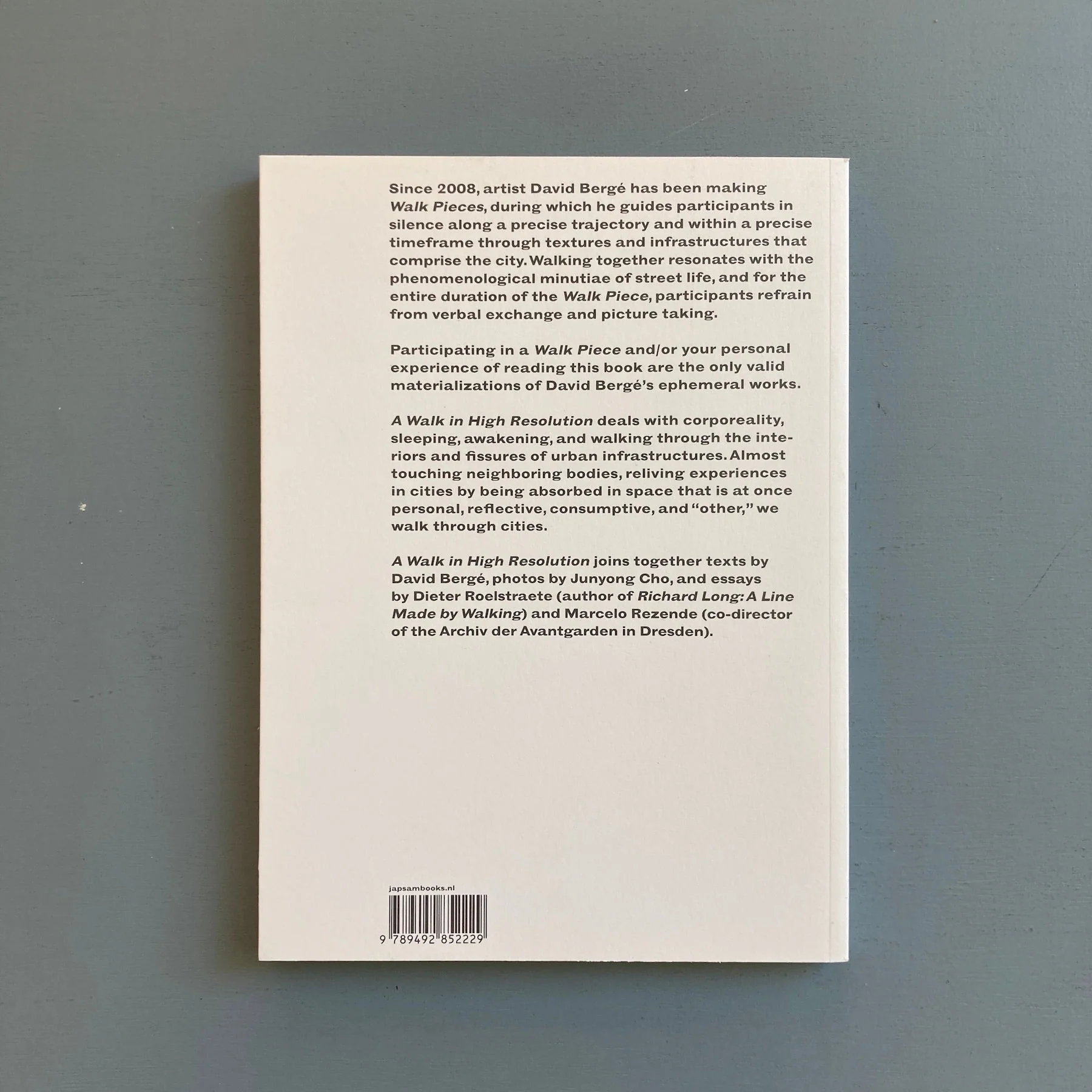 David Bergé - A Walk in High Resolution - Jap Sam Books 2020 - Image 9