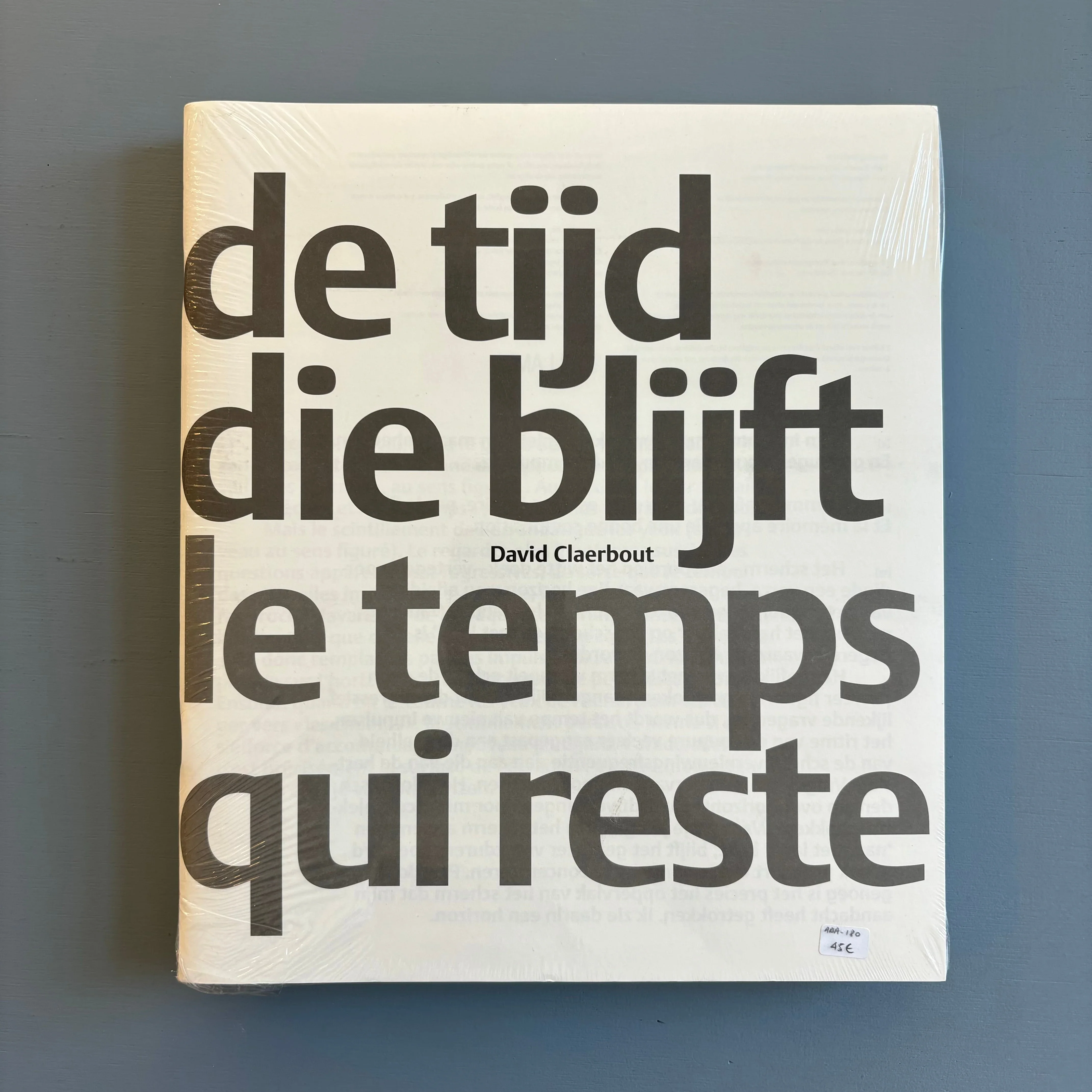 David Claerbout - The time that remains - Ludion 2012 - Image 2